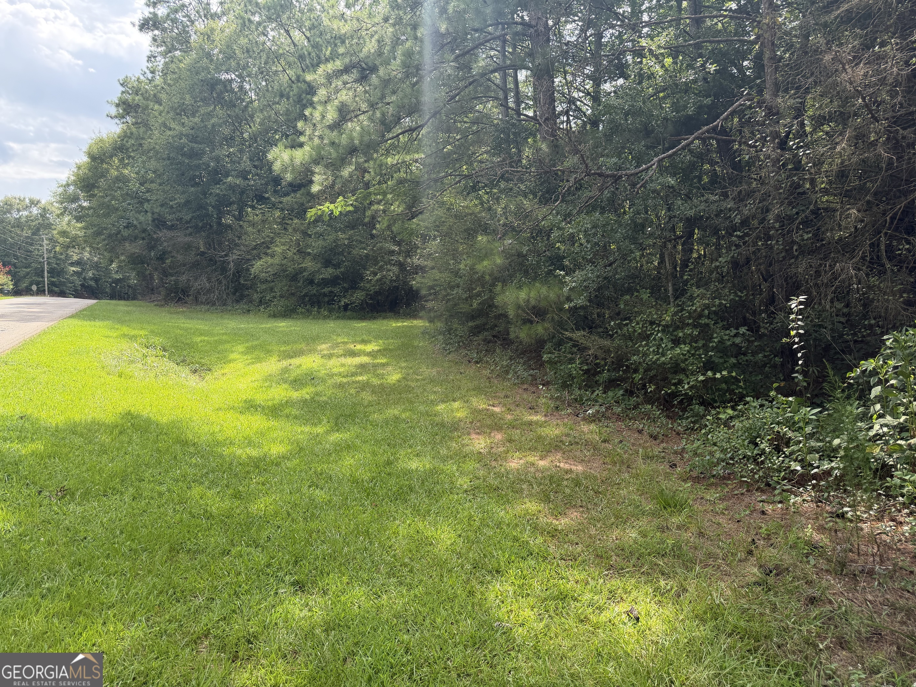 0 County Road 82 Property Photo 1
