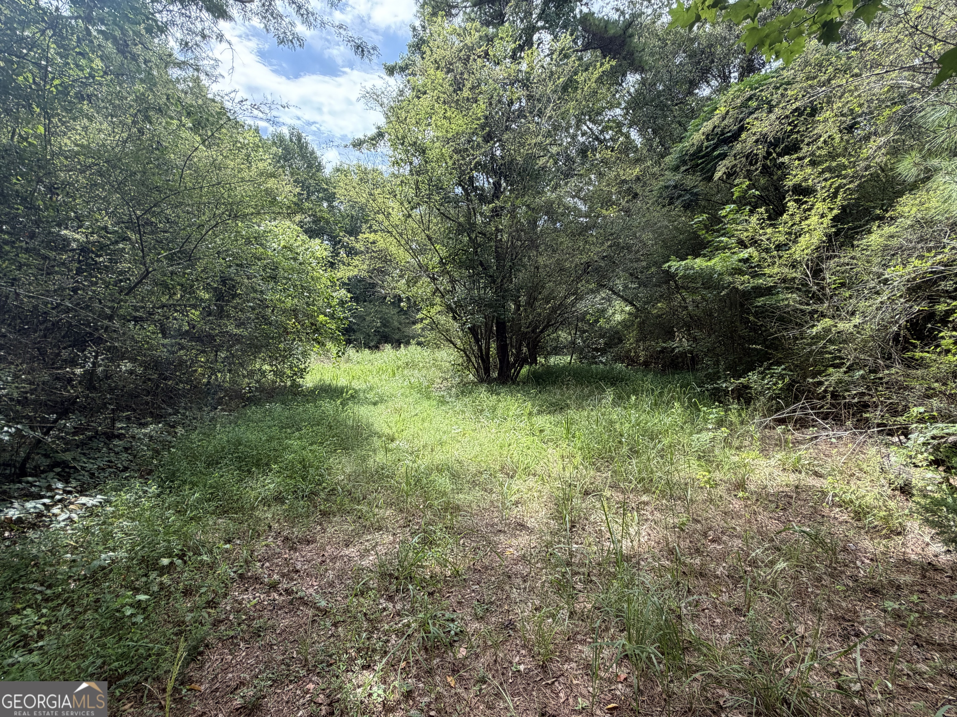0 County Road 82 Property Photo 2