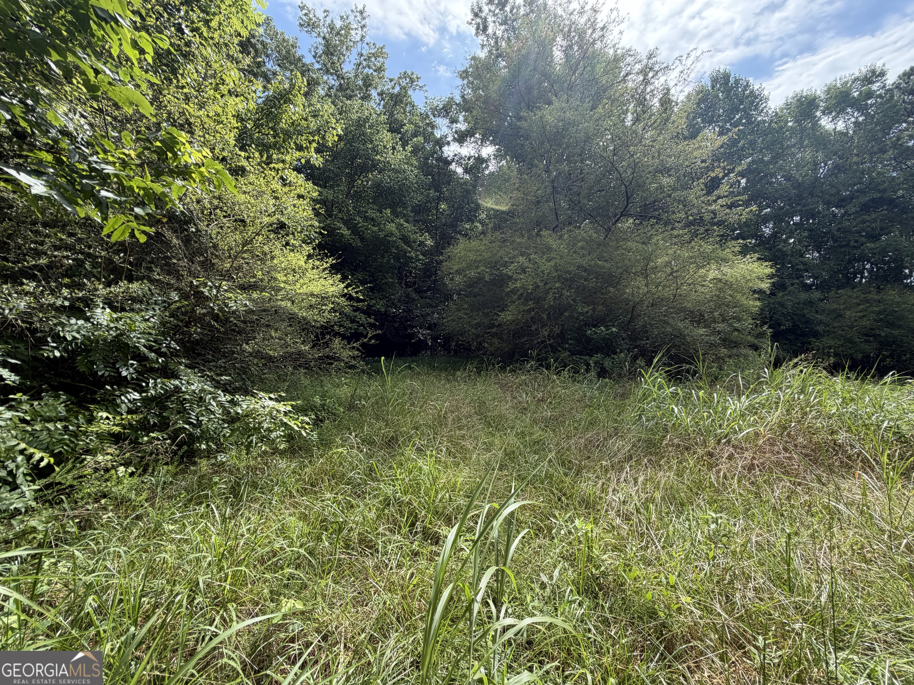 0 County Road 82 Property Photo 3