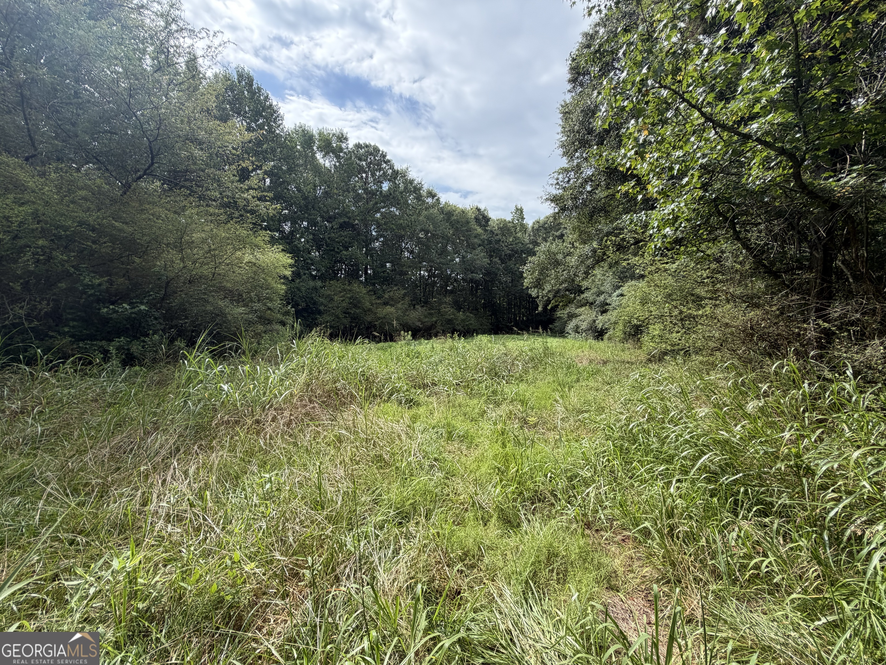 0 County Road 82 Property Photo 4