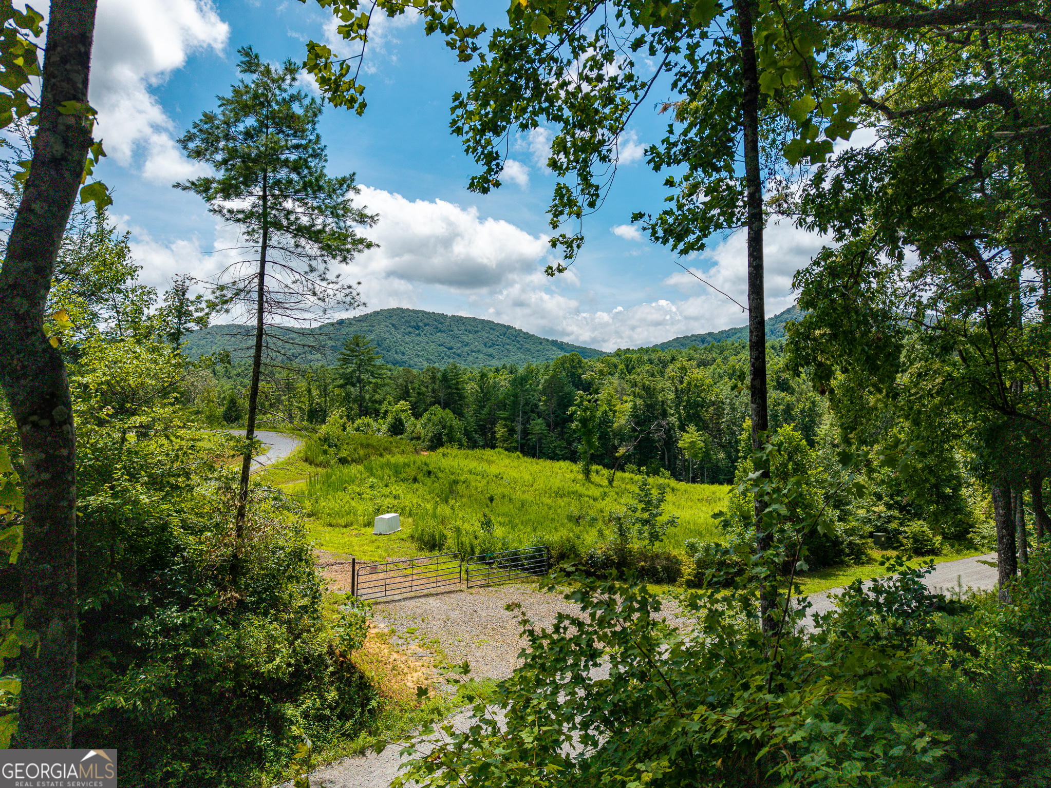 0 Higdon Creek Road Property Photo 2