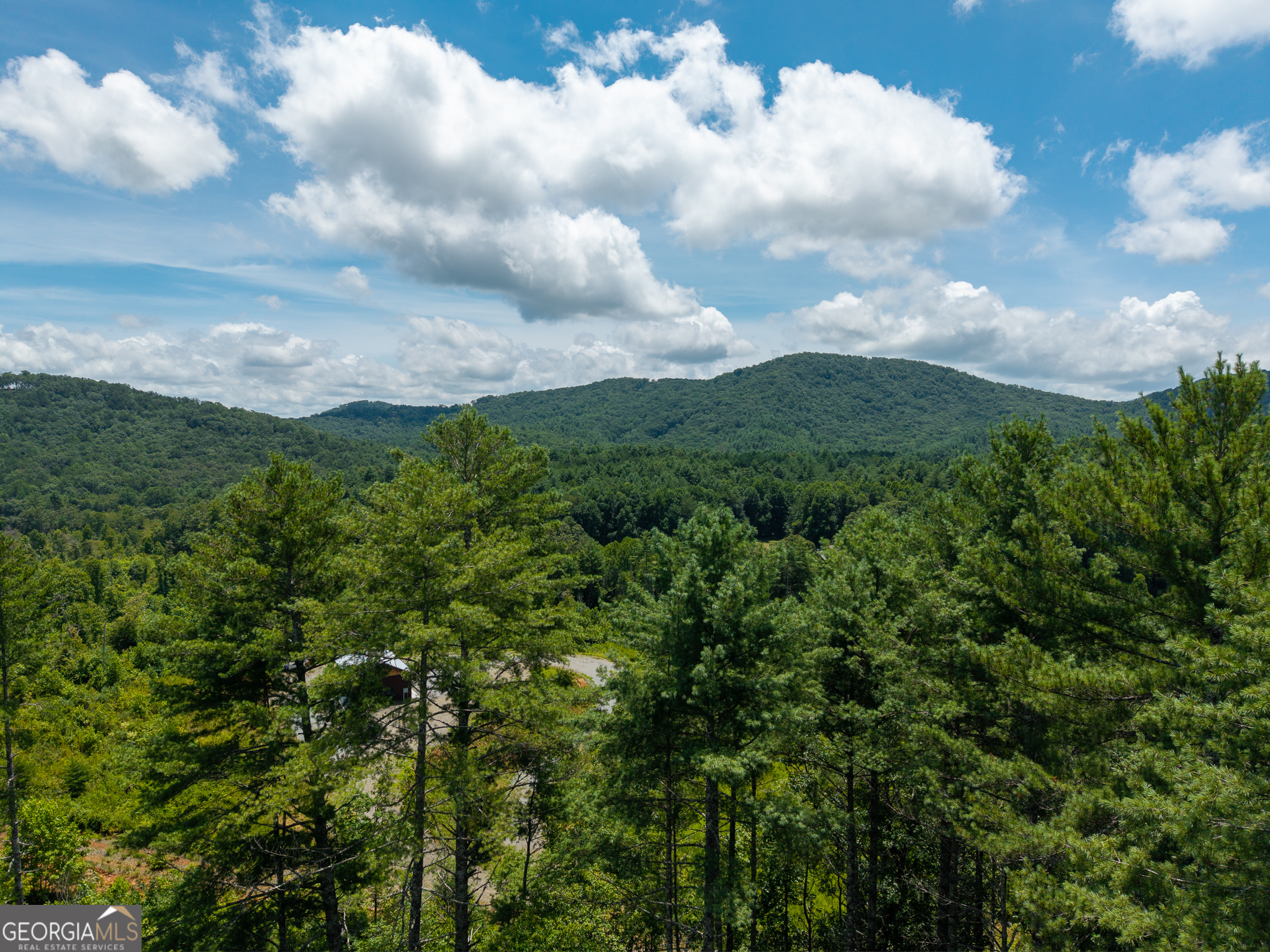 0 Higdon Creek Road Property Photo 4