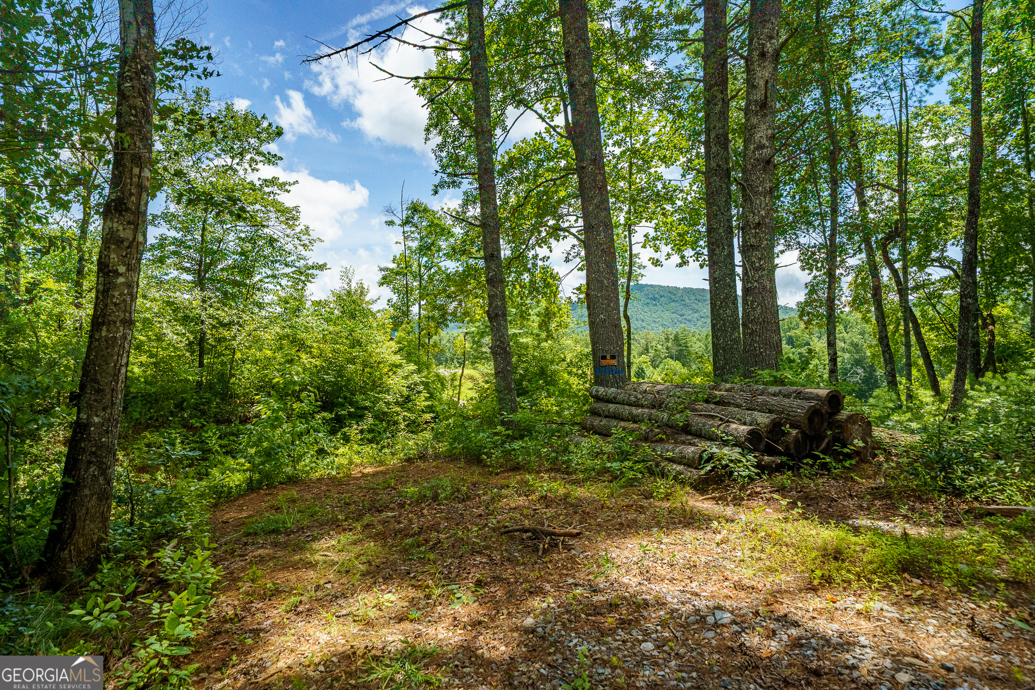 0 Higdon Creek Road Property Photo 10