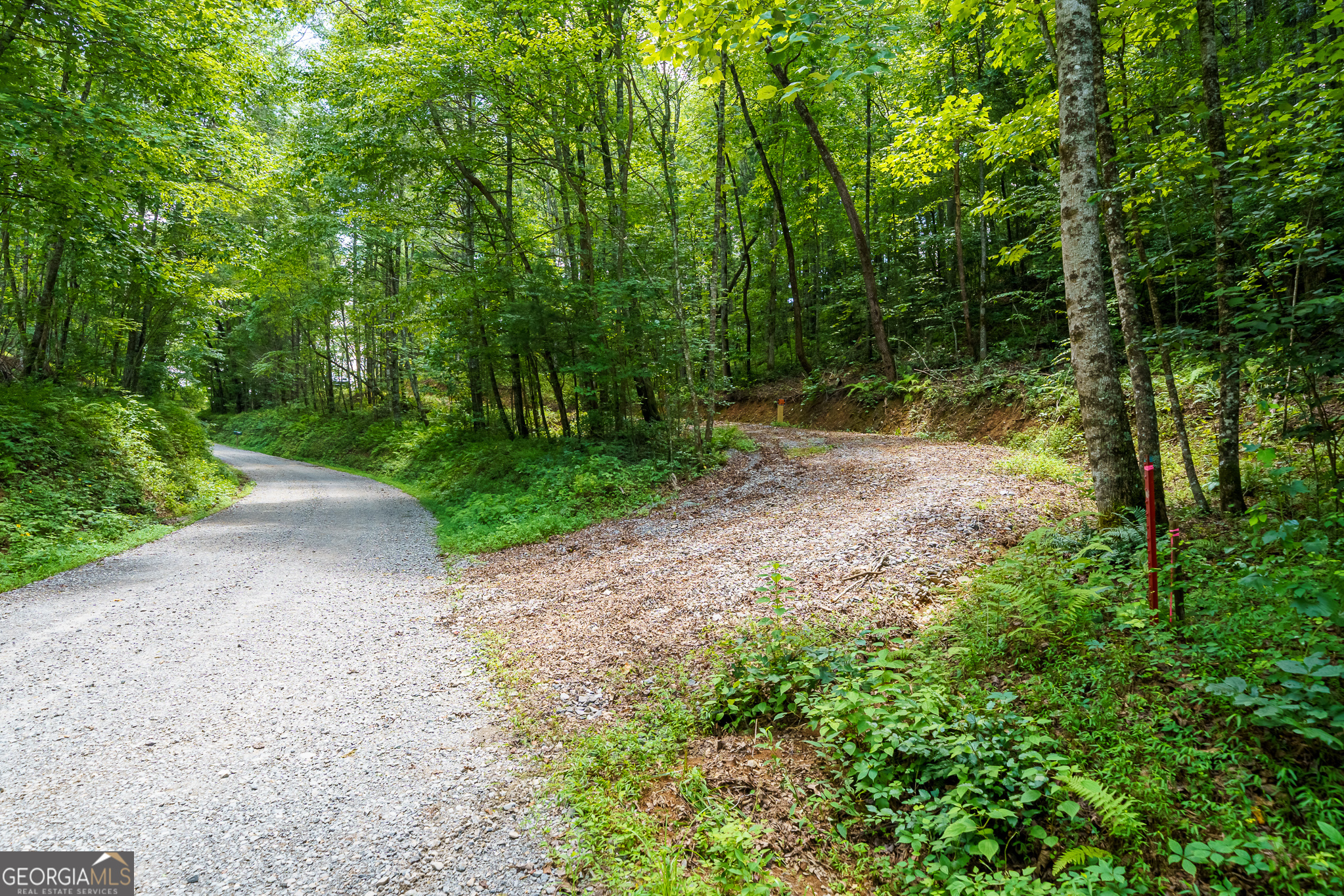 0 Higdon Creek Road Property Photo 16
