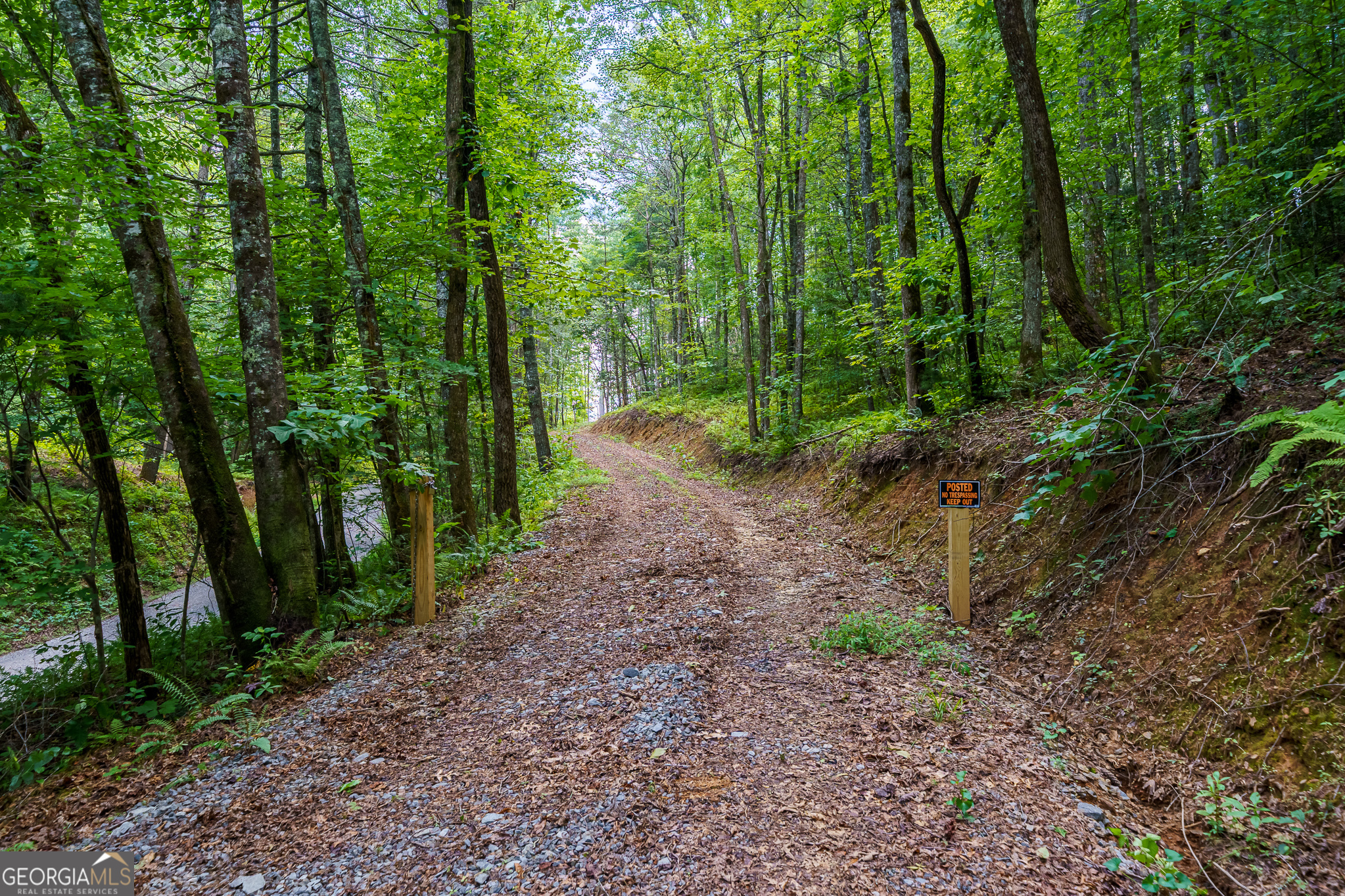 0 Higdon Creek Road Property Photo 17