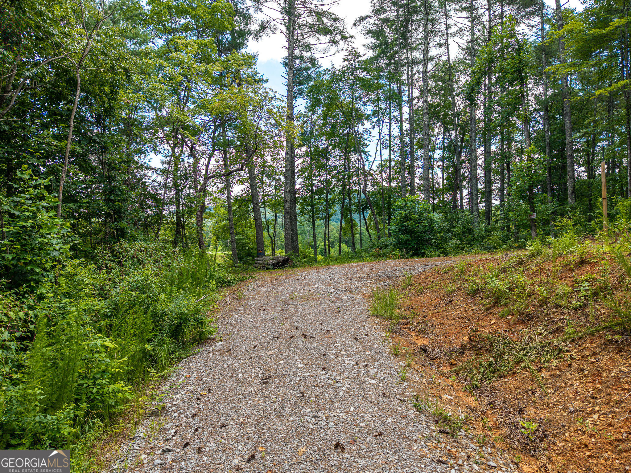 0 Higdon Creek Road Property Photo 18
