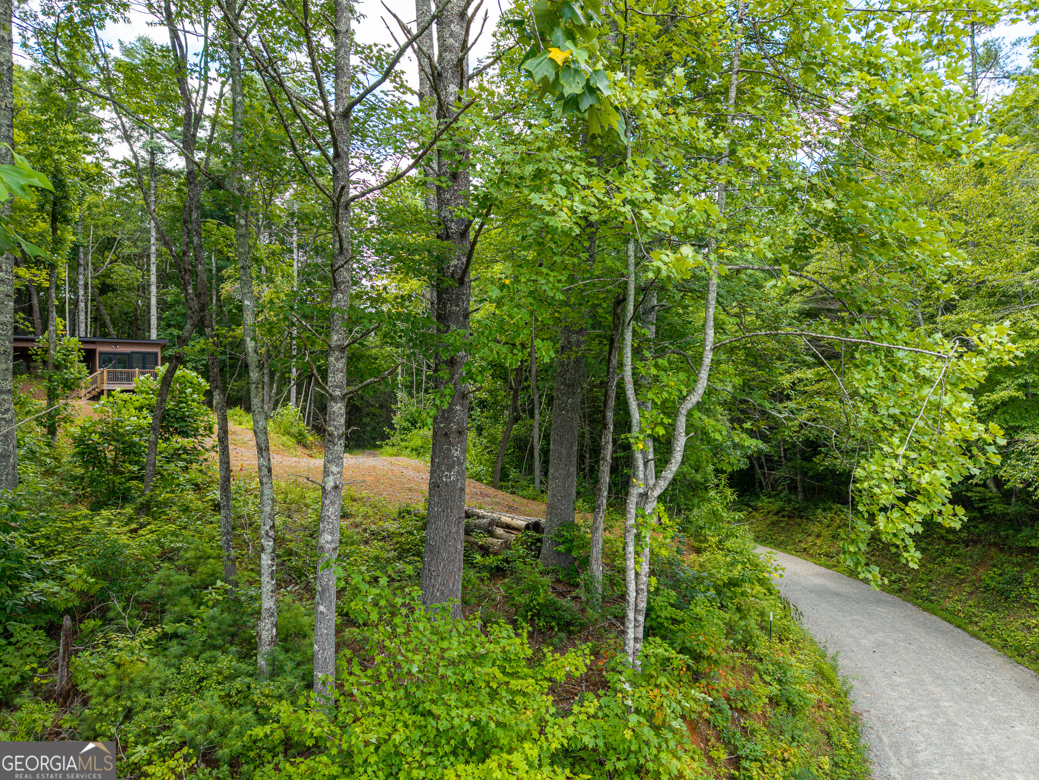 0 Higdon Creek Road Property Photo 19