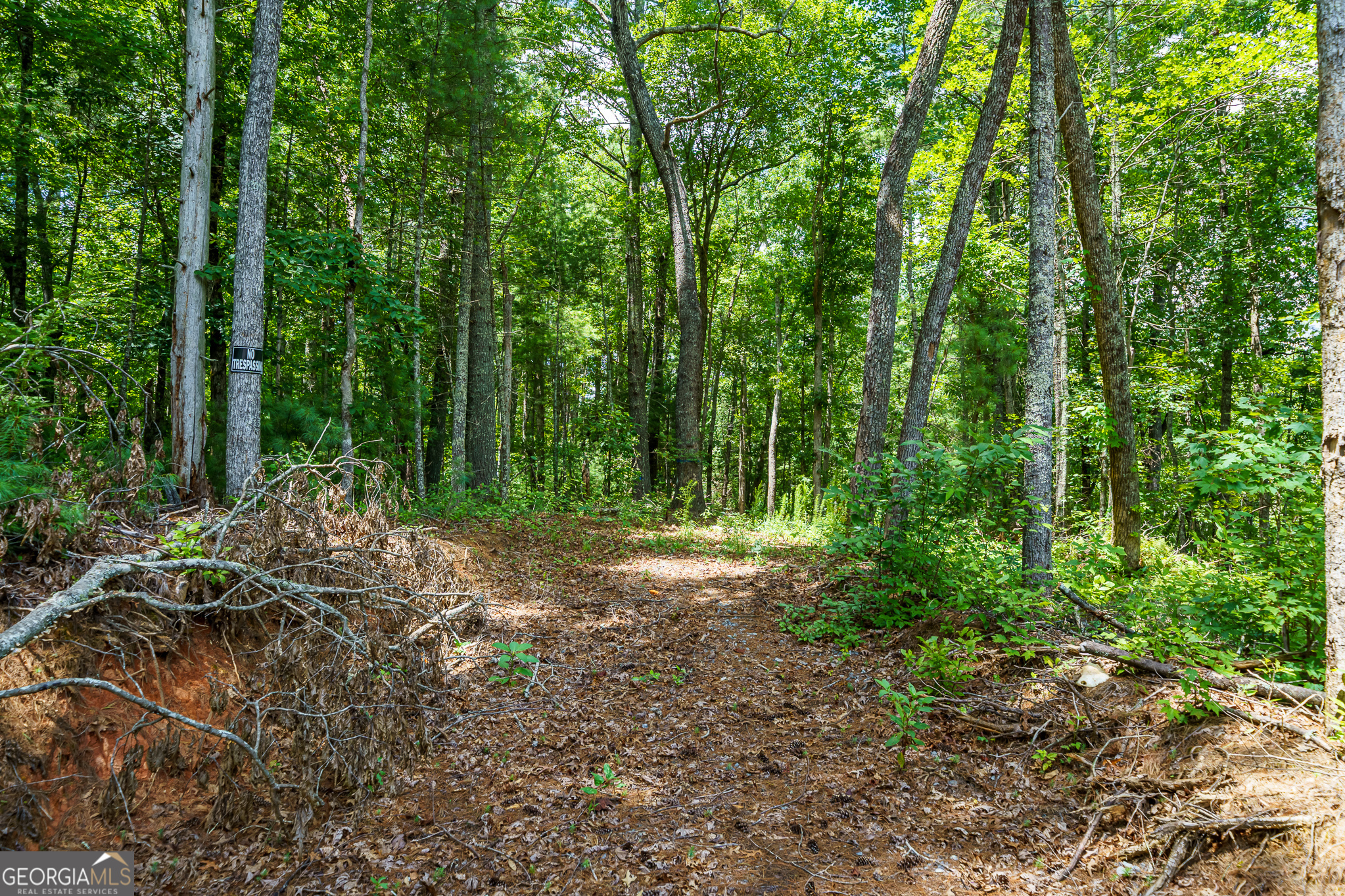 0 Higdon Creek Road Property Photo 21