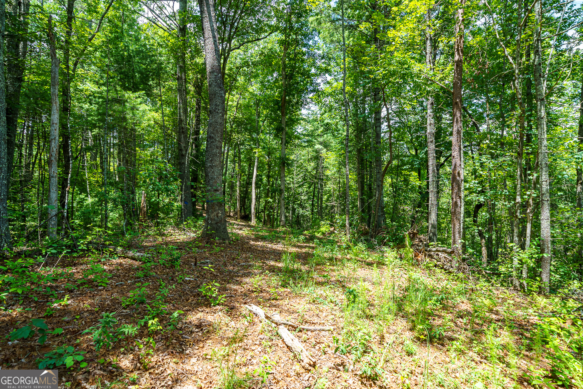 0 Higdon Creek Road Property Photo 22