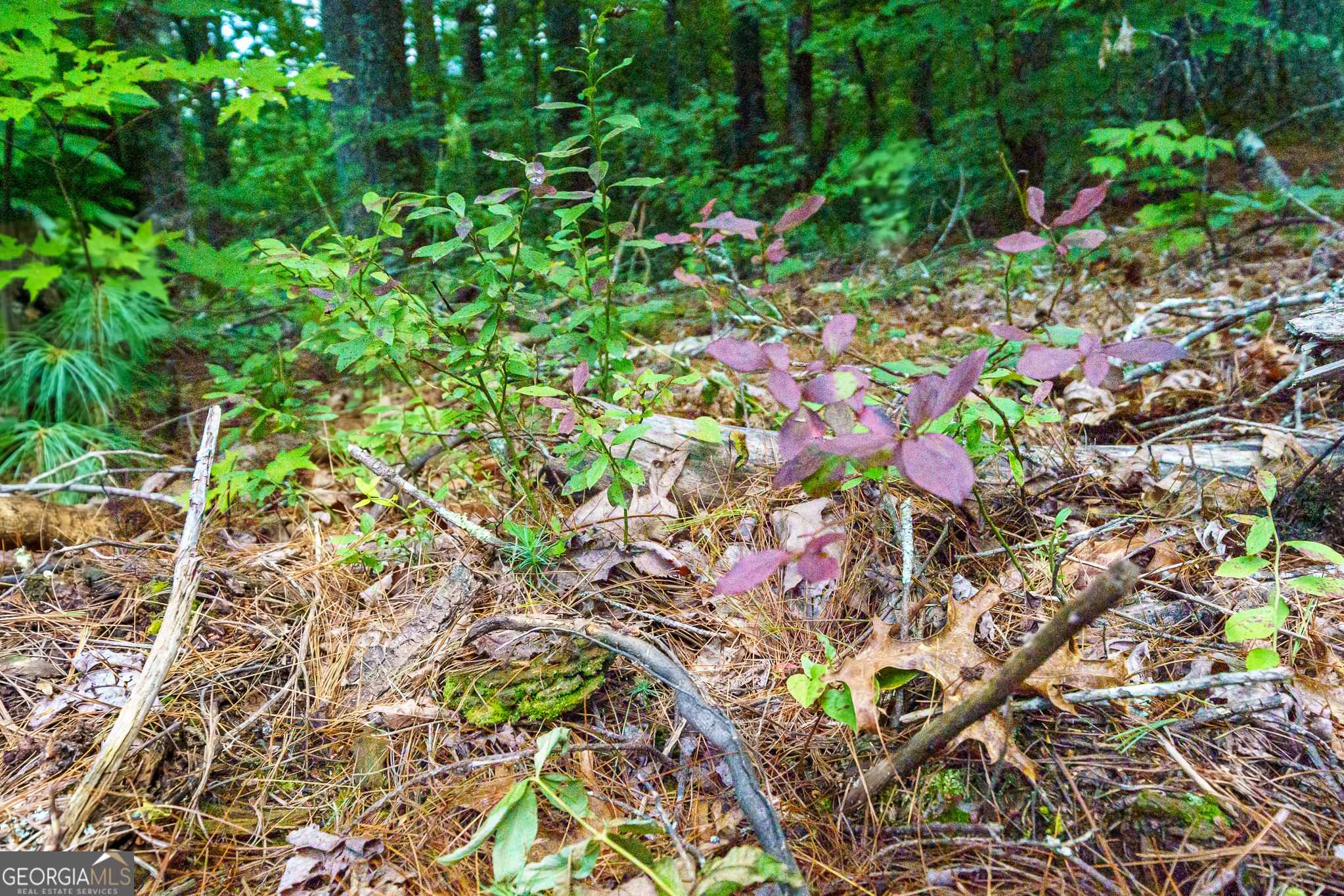 0 Higdon Creek Road Property Photo 25