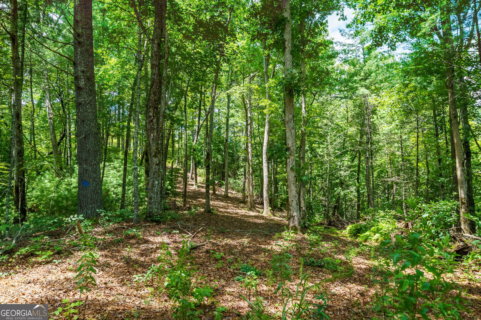 0 Higdon Creek Road Property Photo 28