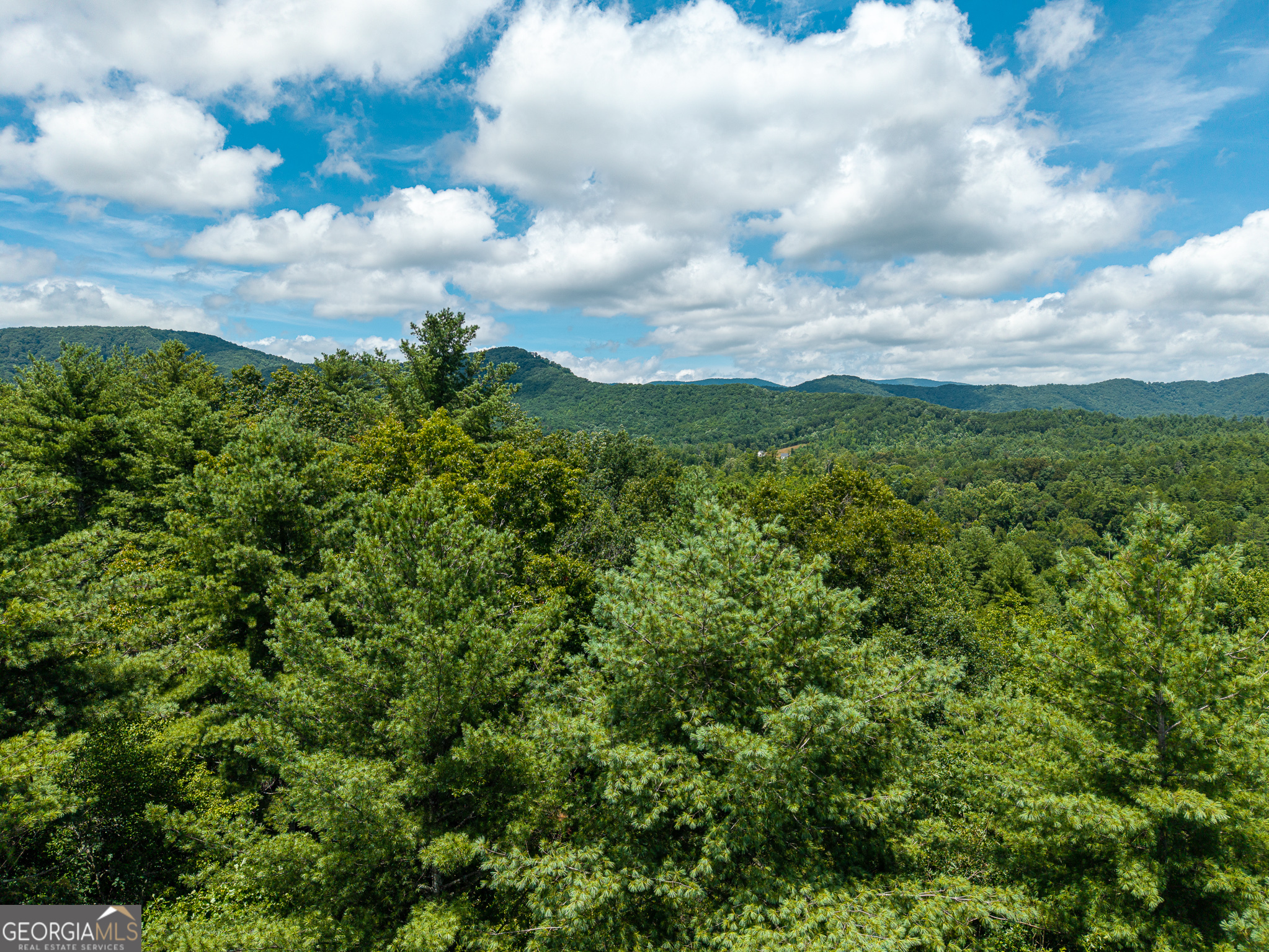 0 Higdon Creek Road Property Photo 32