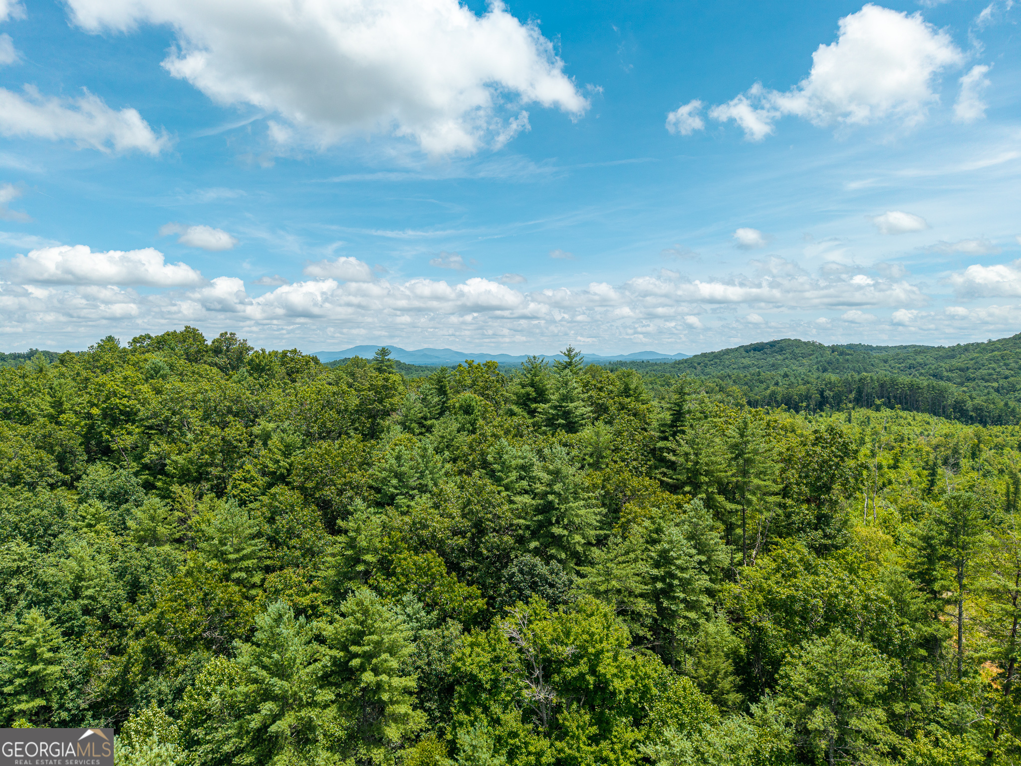 0 Higdon Creek Road Property Photo 33