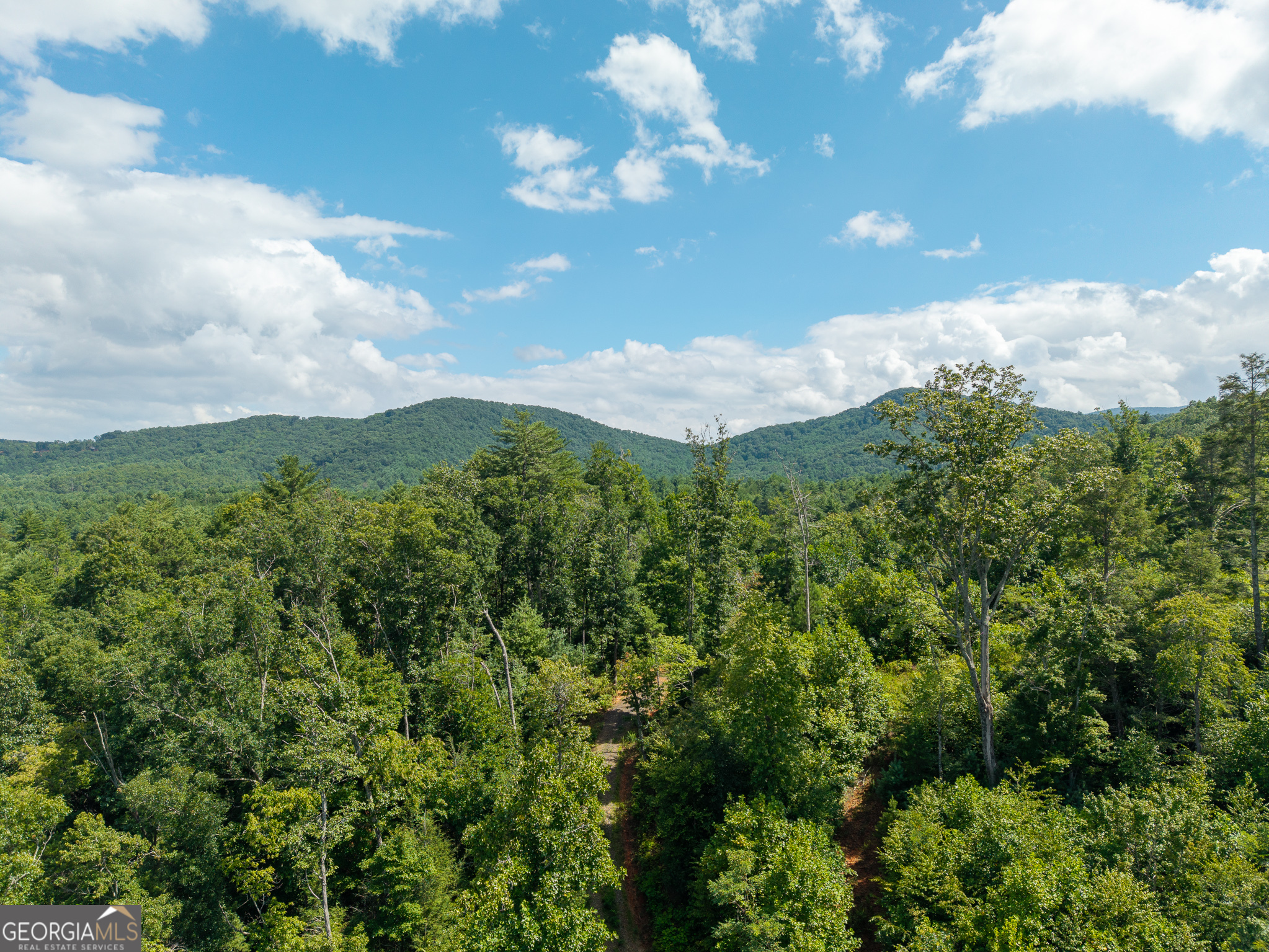 0 Higdon Creek Road Property Photo 35