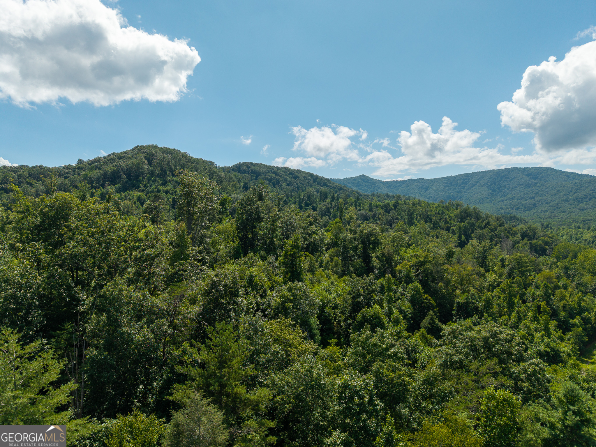 0 Higdon Creek Road Property Photo 36