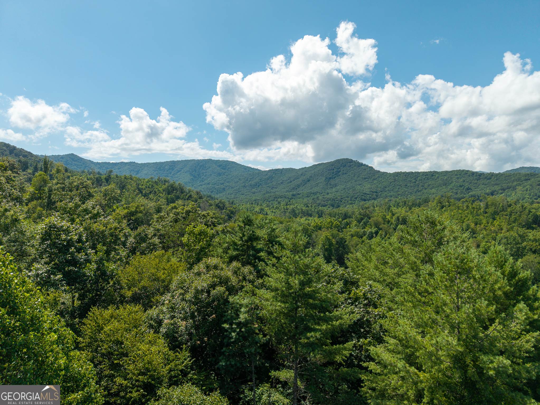 0 Higdon Creek Road Property Photo 37