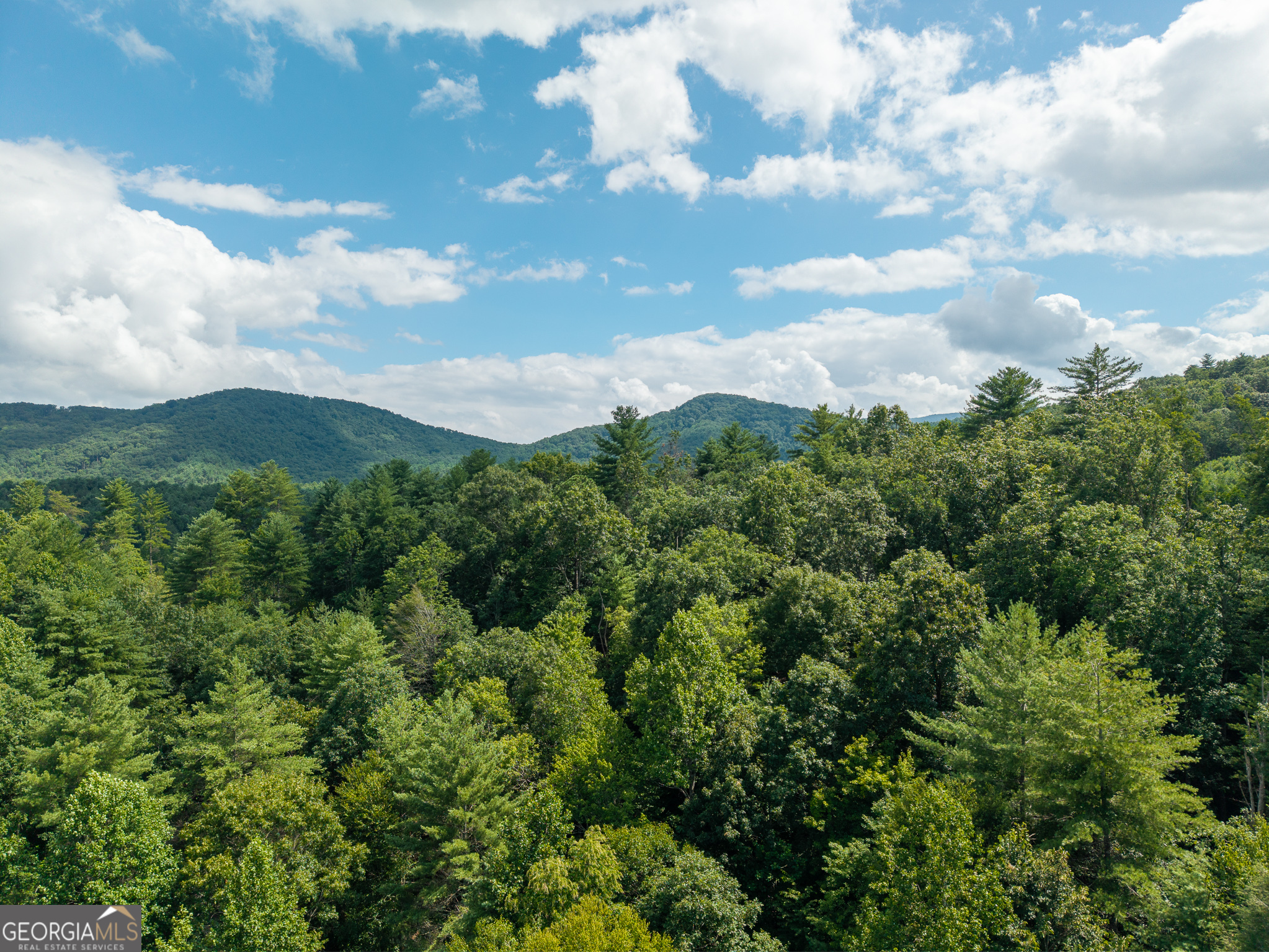 0 Higdon Creek Road Property Photo 38