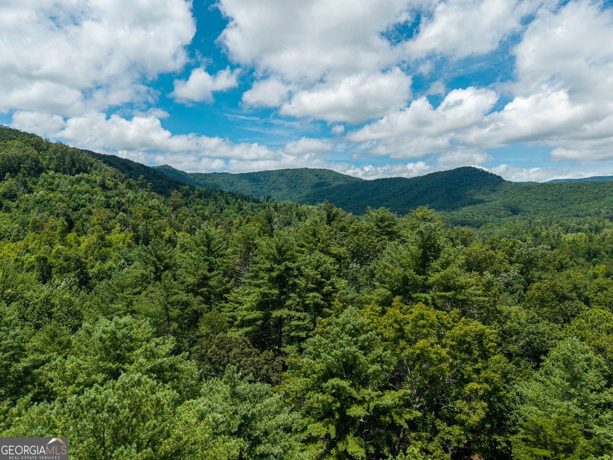 0 Higdon Creek Road Property Photo 39