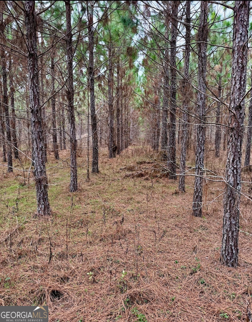 0 John M Brewton Road Property Photo 1