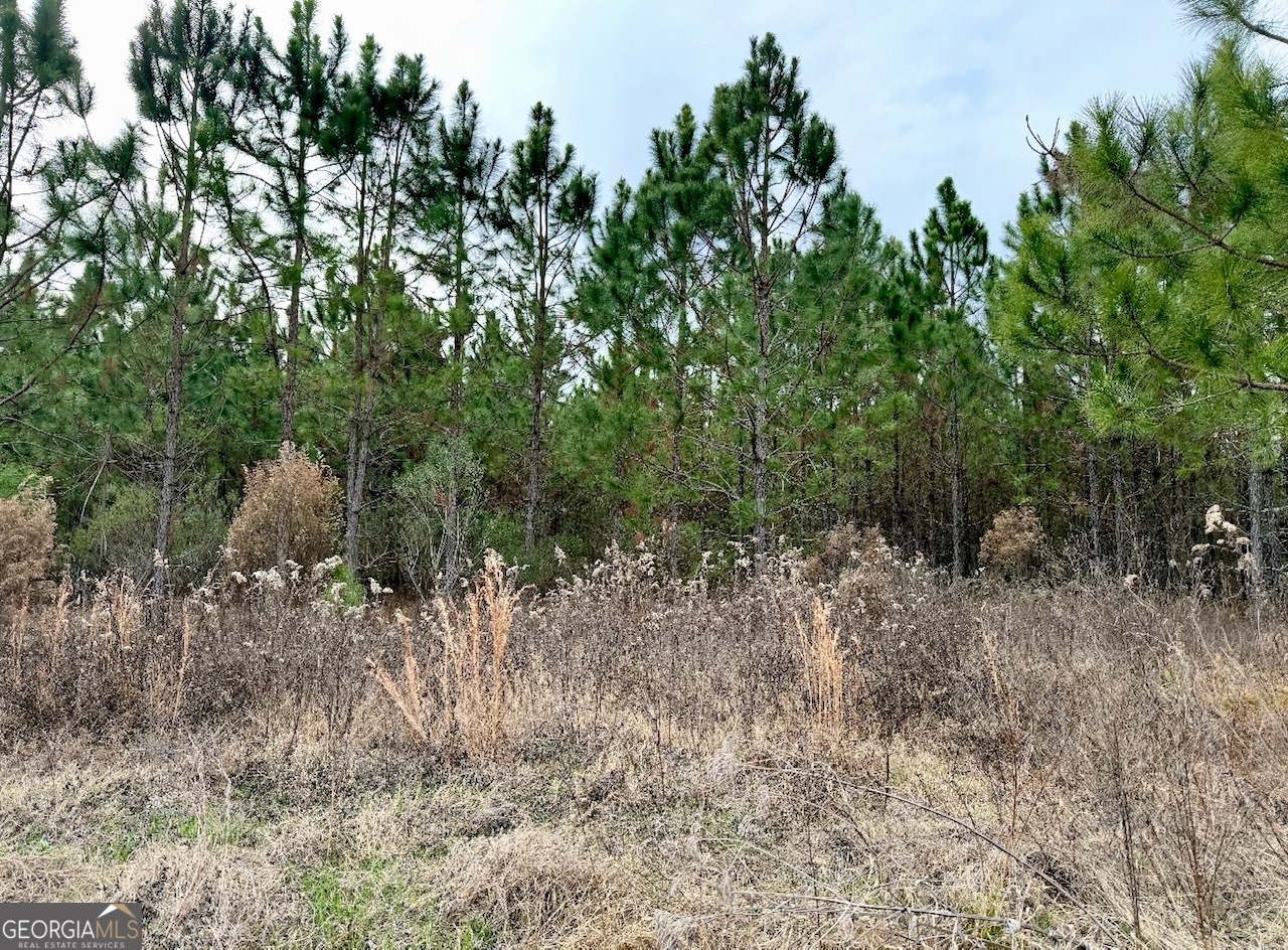 0 John M Brewton Road Property Photo 2
