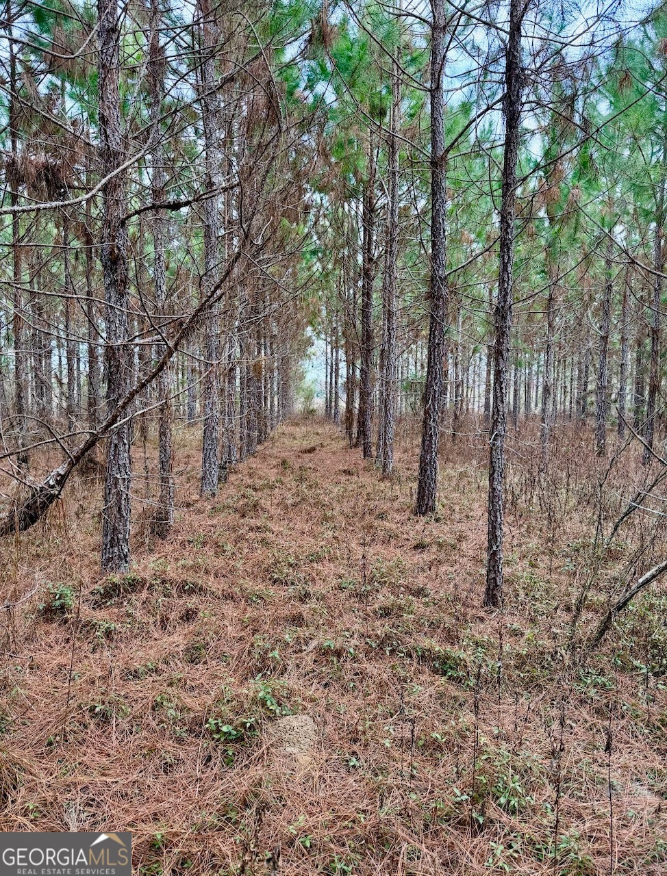 0 John M Brewton Road Property Photo 3