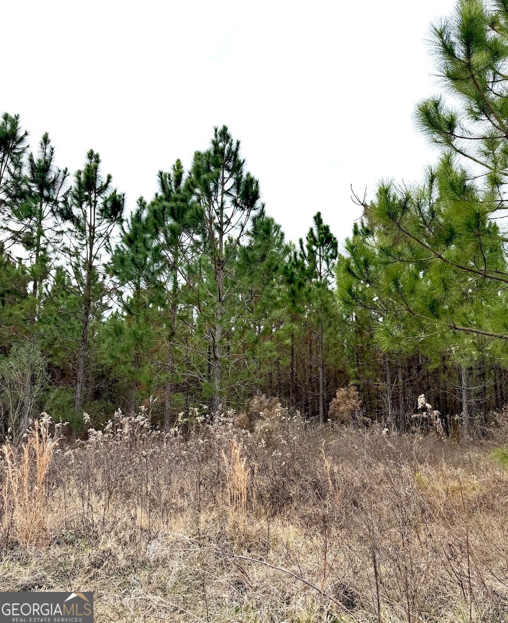 0 John M Brewton Road Property Photo 4