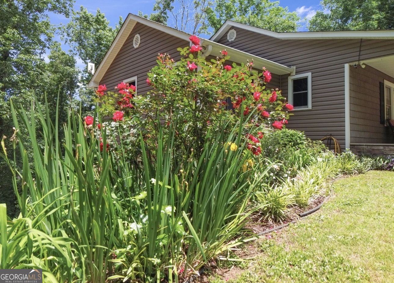 285 Wolf Den Road Property Photo 5