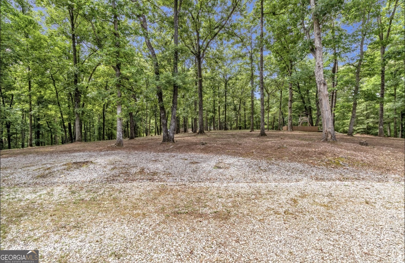 285 Wolf Den Road Property Photo 59