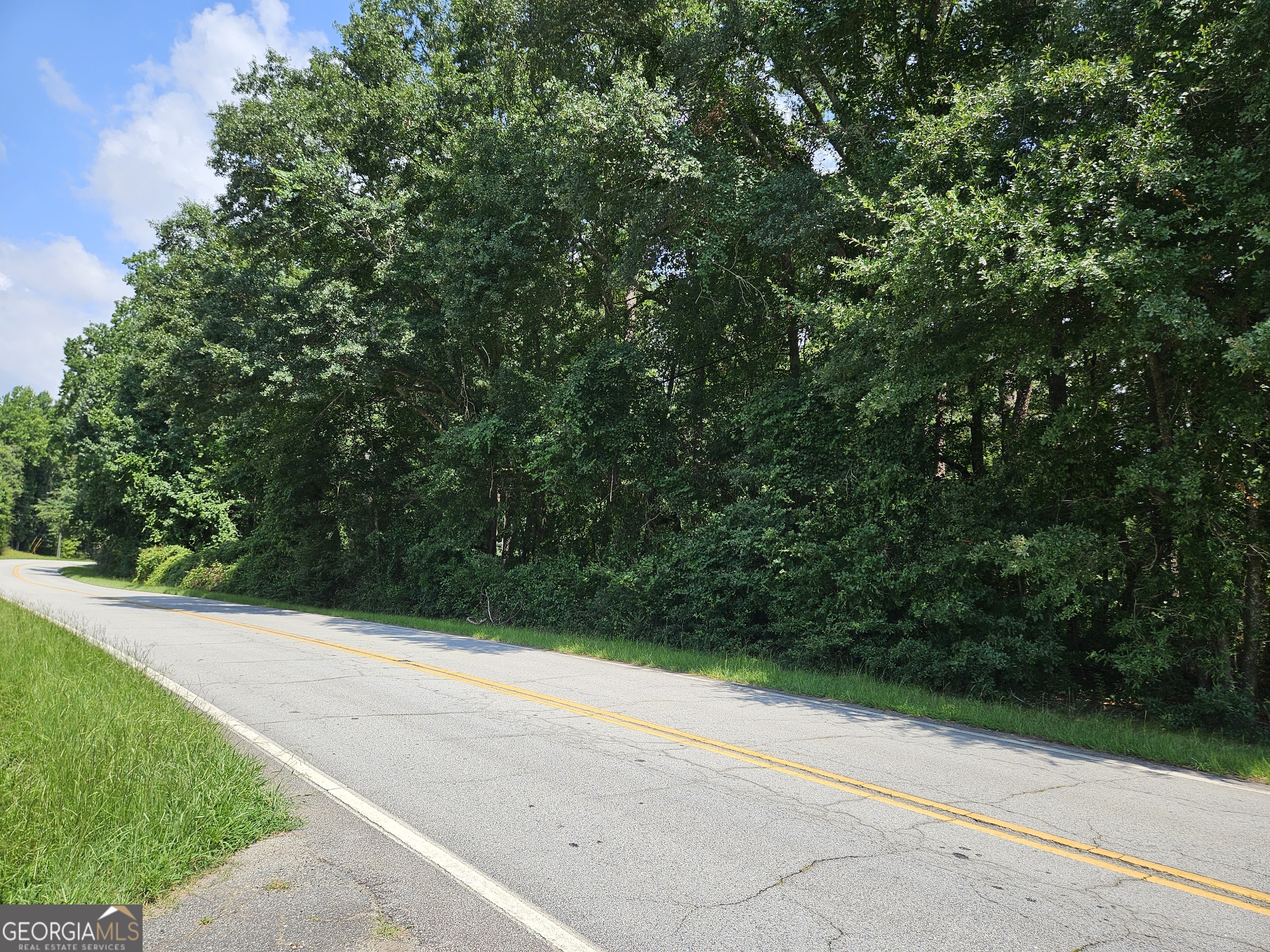 Lot 1 June Ivey Road Property Photo 1