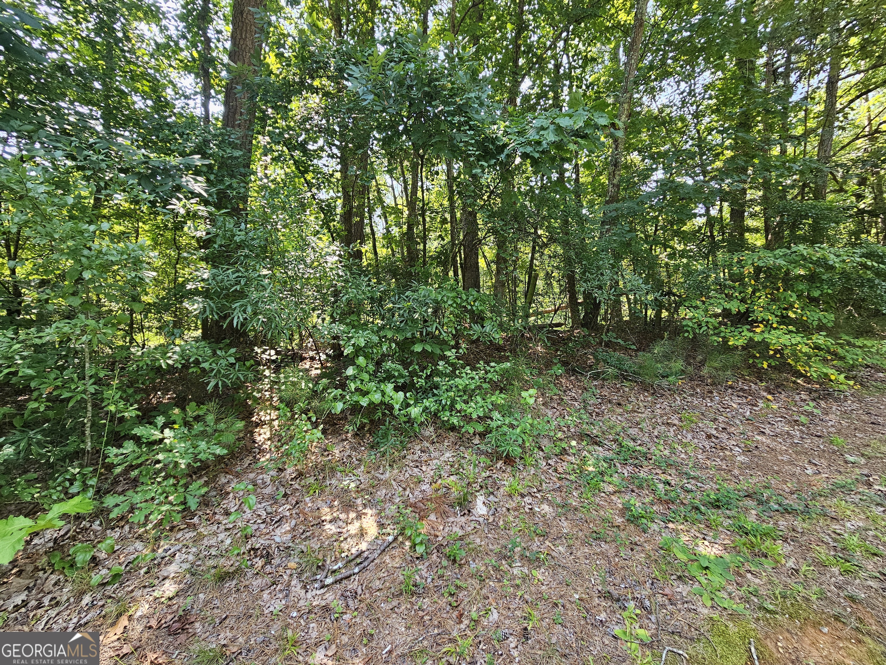 Lot 3 June Ivey Road Property Photo 4