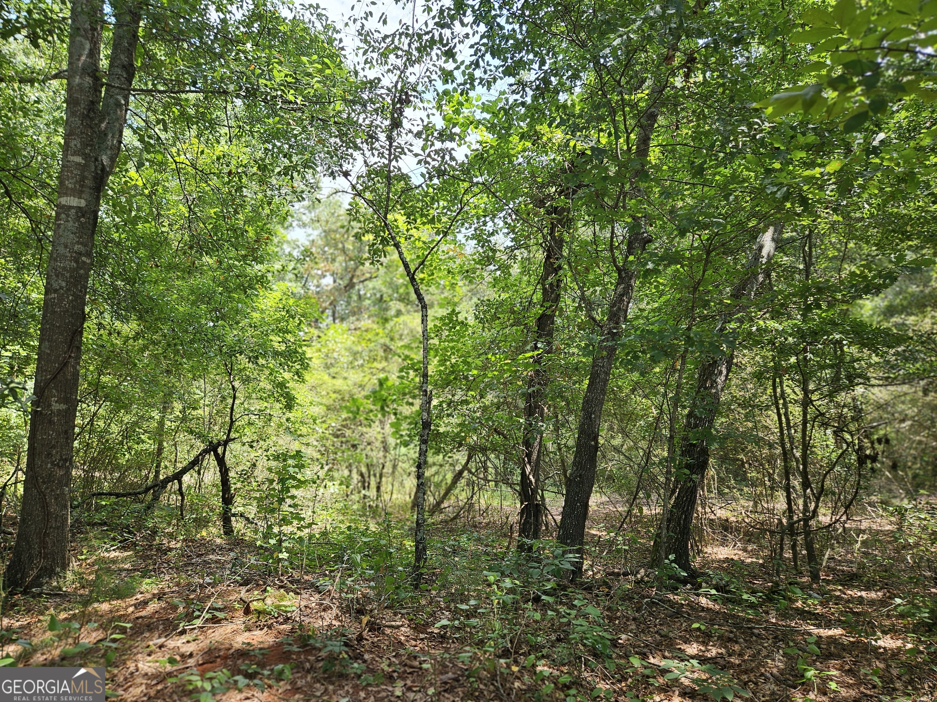 Lot 4 June Ivey Road Property Photo 2