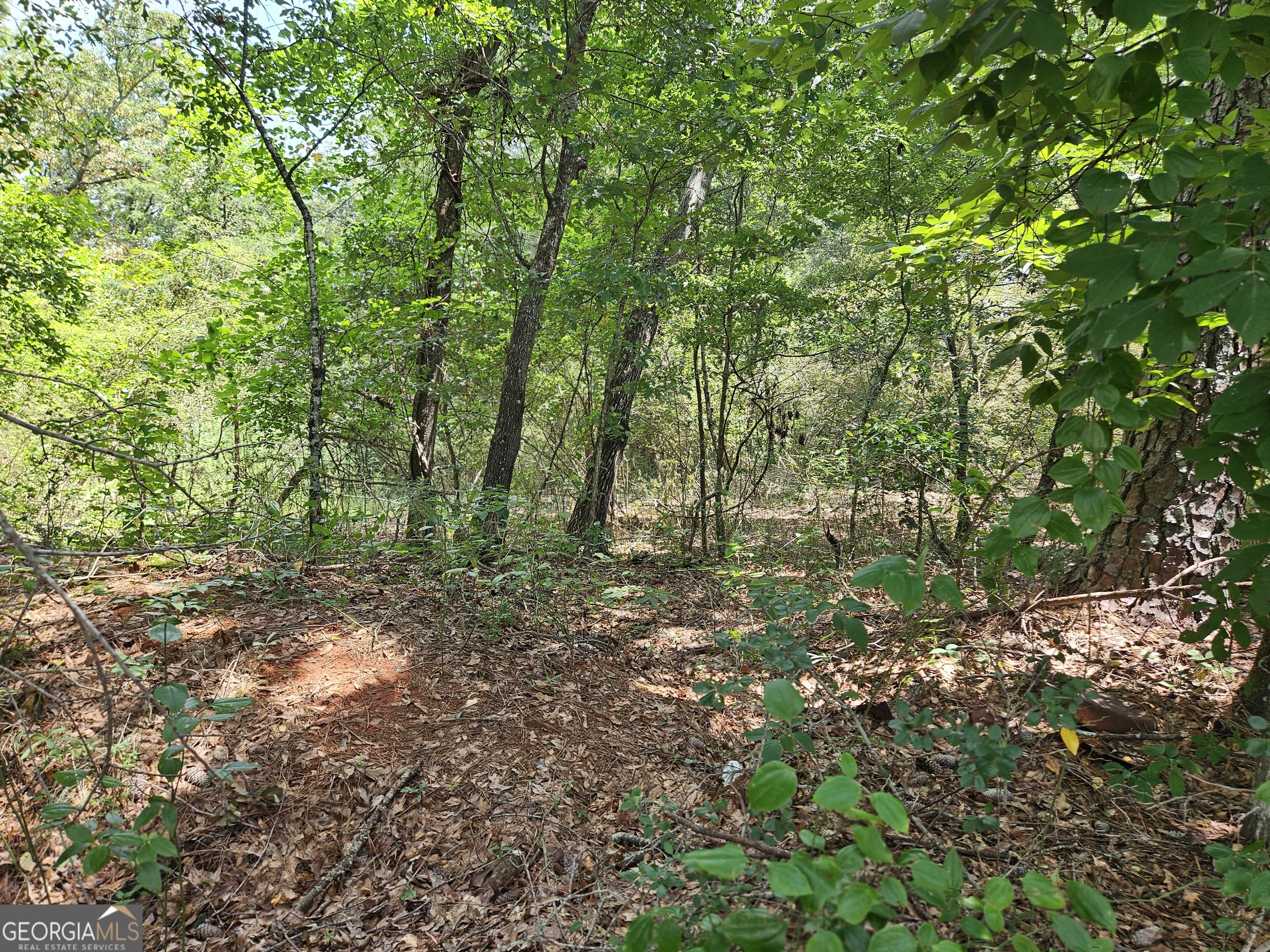 Lot 4 June Ivey Road Property Photo 13