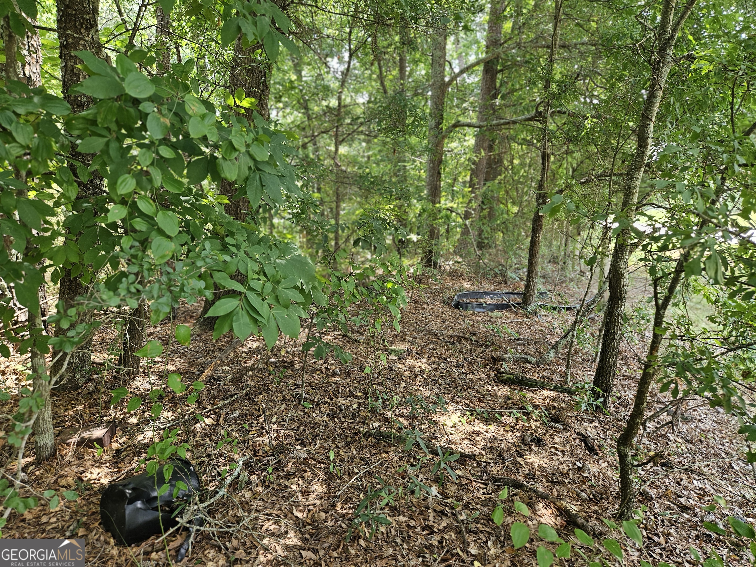 Lot 4 June Ivey Road Property Photo 14