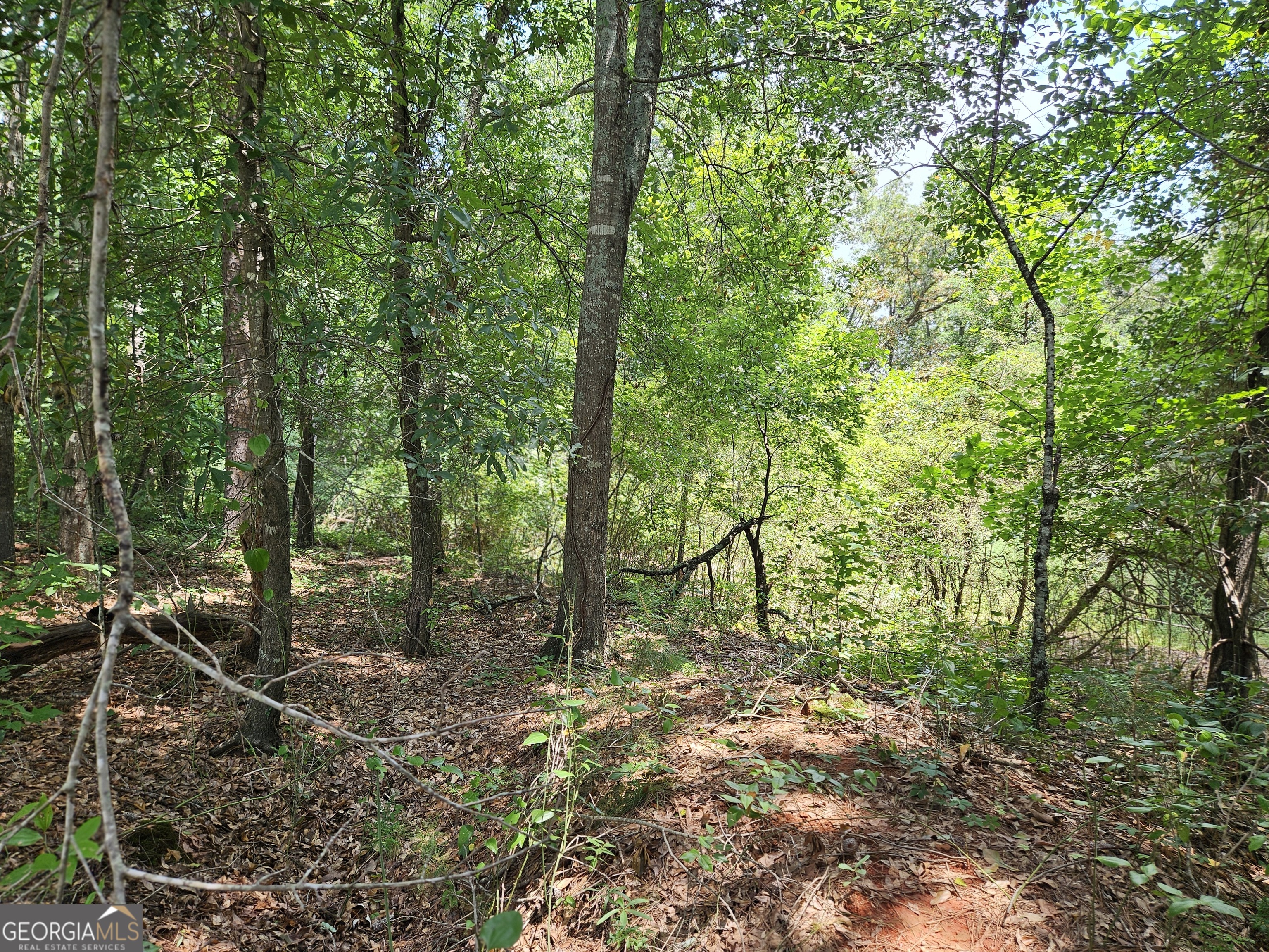 Lot 4 June Ivey Road Property Photo 15