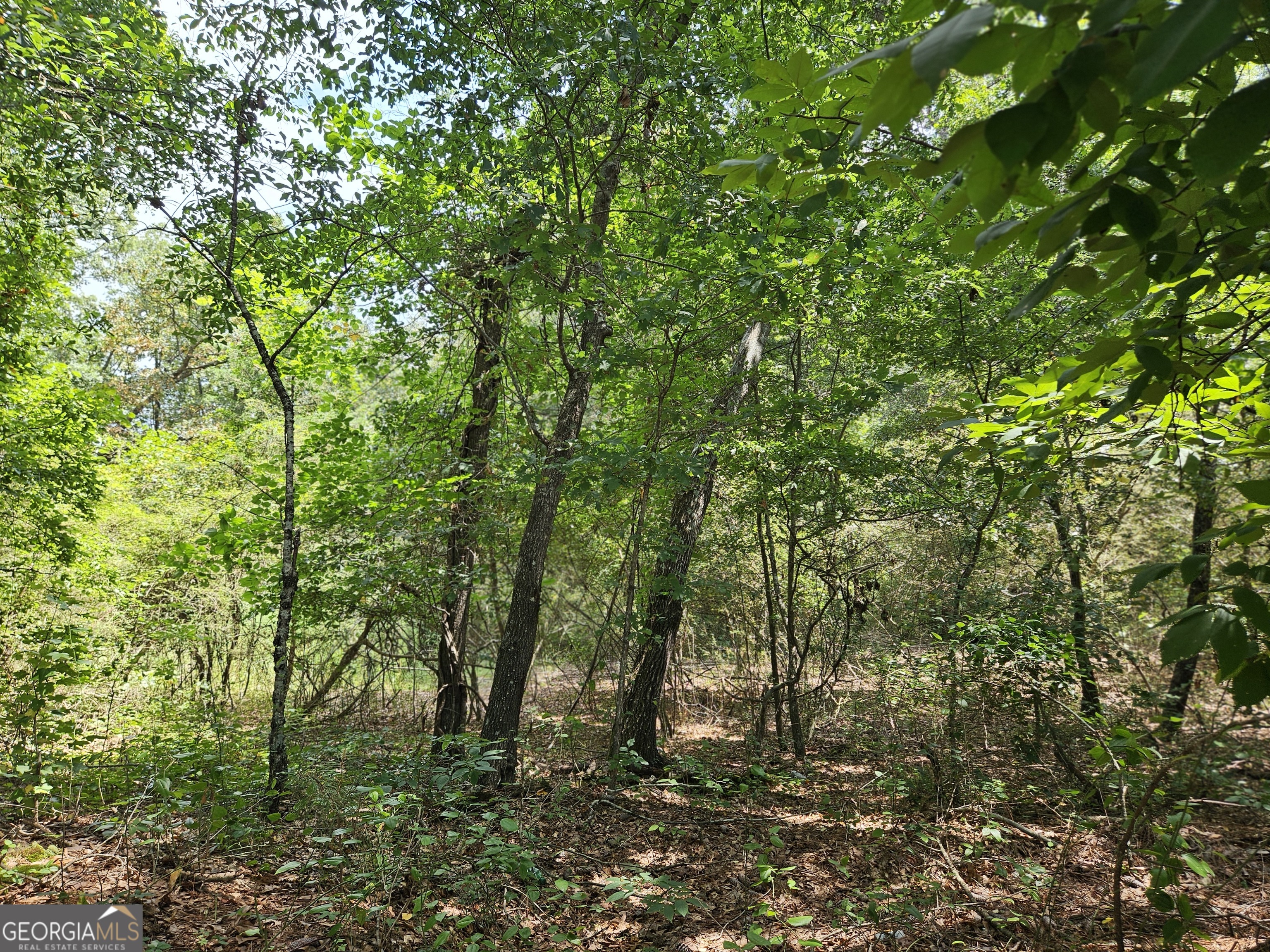 Lot 4 June Ivey Road Property Photo 16