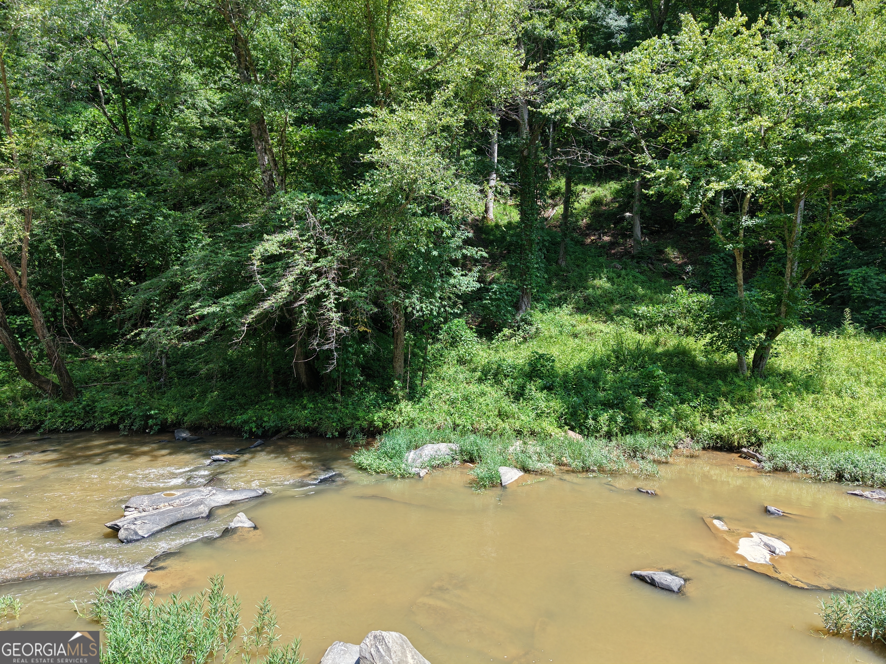 297 Pebble Trace Property Photo 4
