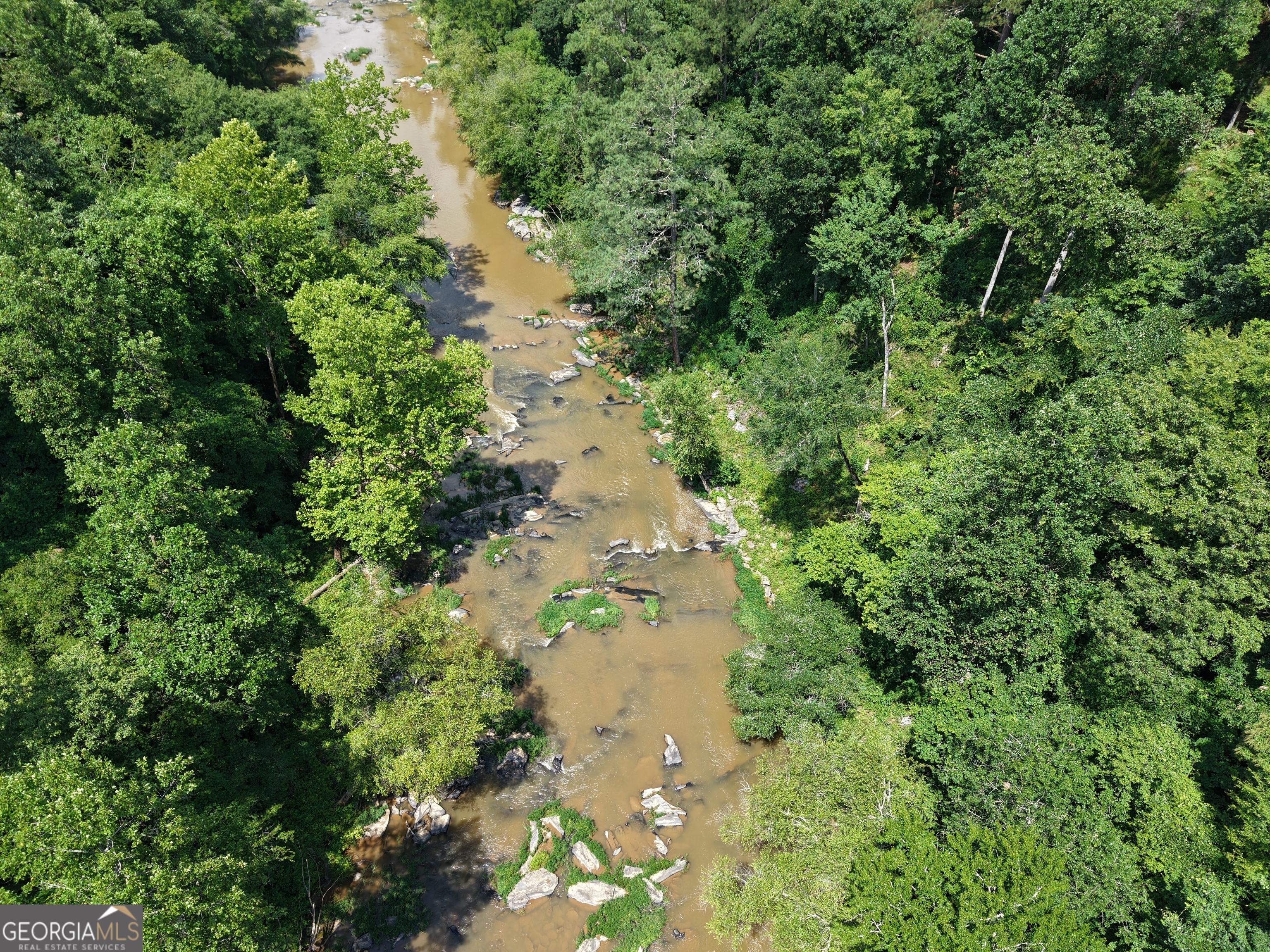 297 Pebble Trace Property Photo 6