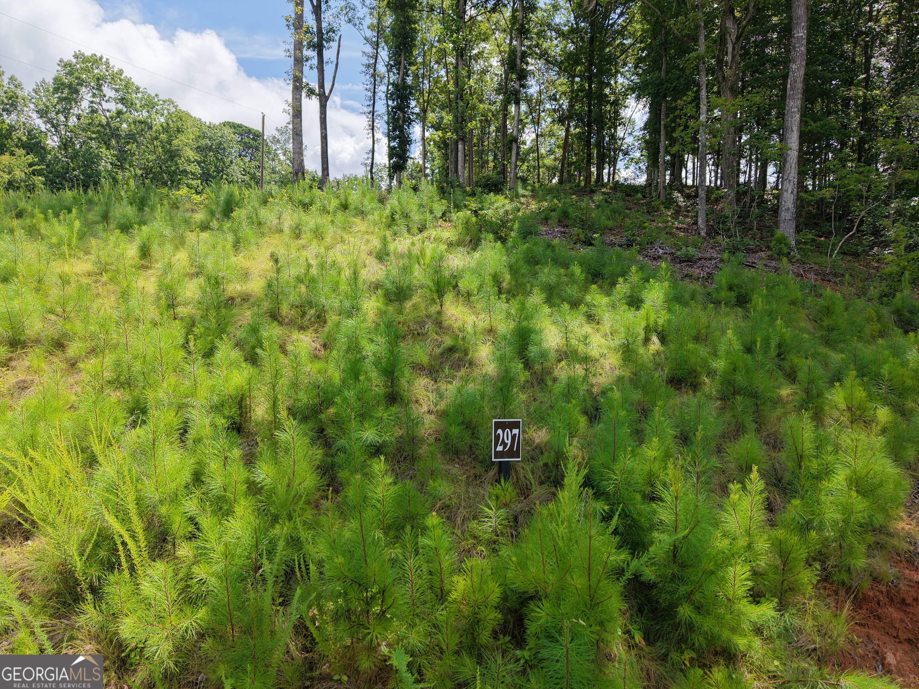 297 Pebble Trace Property Photo 7