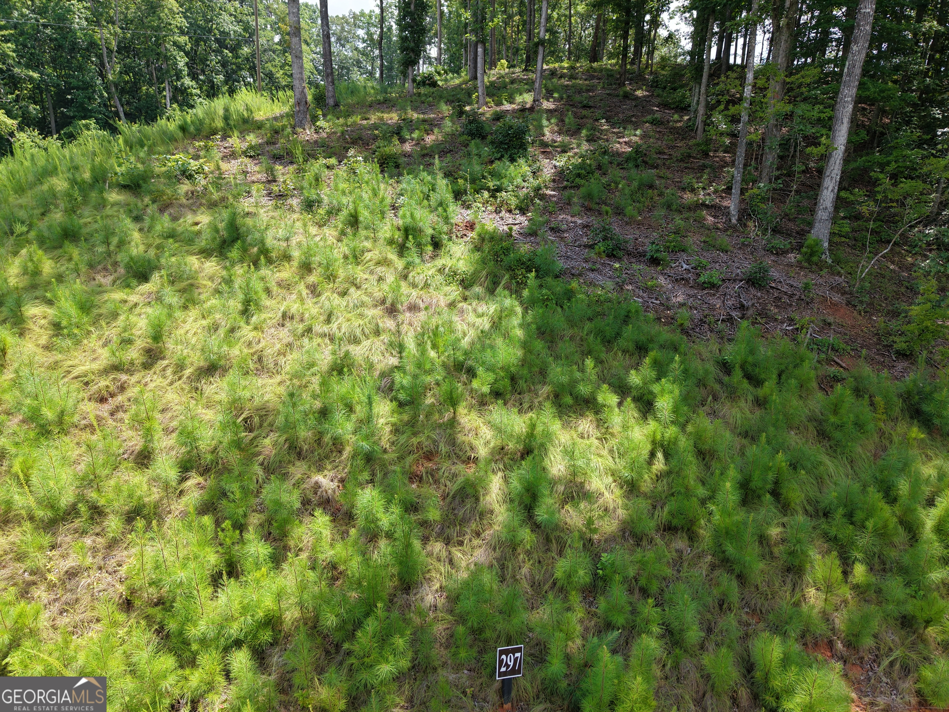297 Pebble Trace Property Photo 8