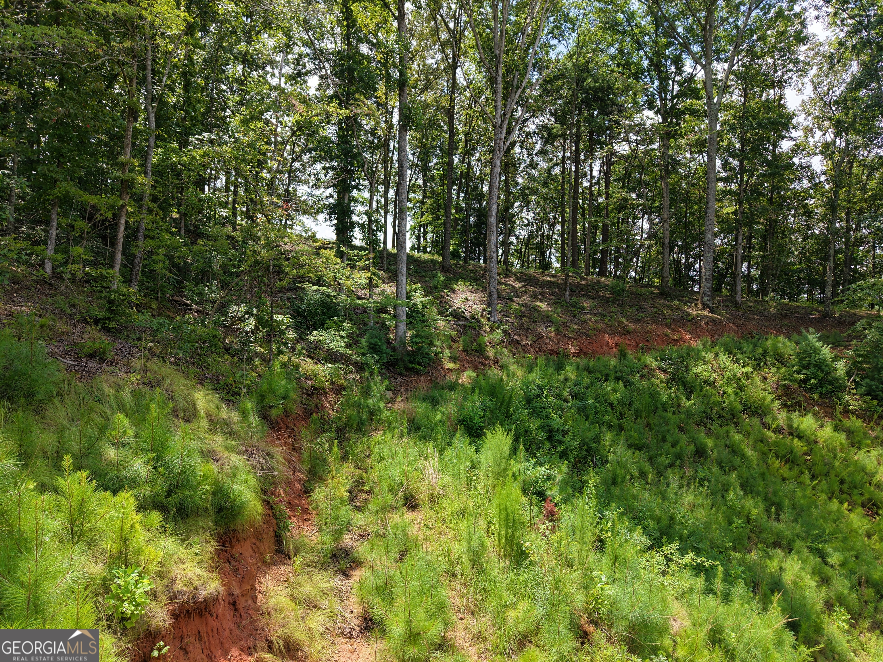 297 Pebble Trace Property Photo 9
