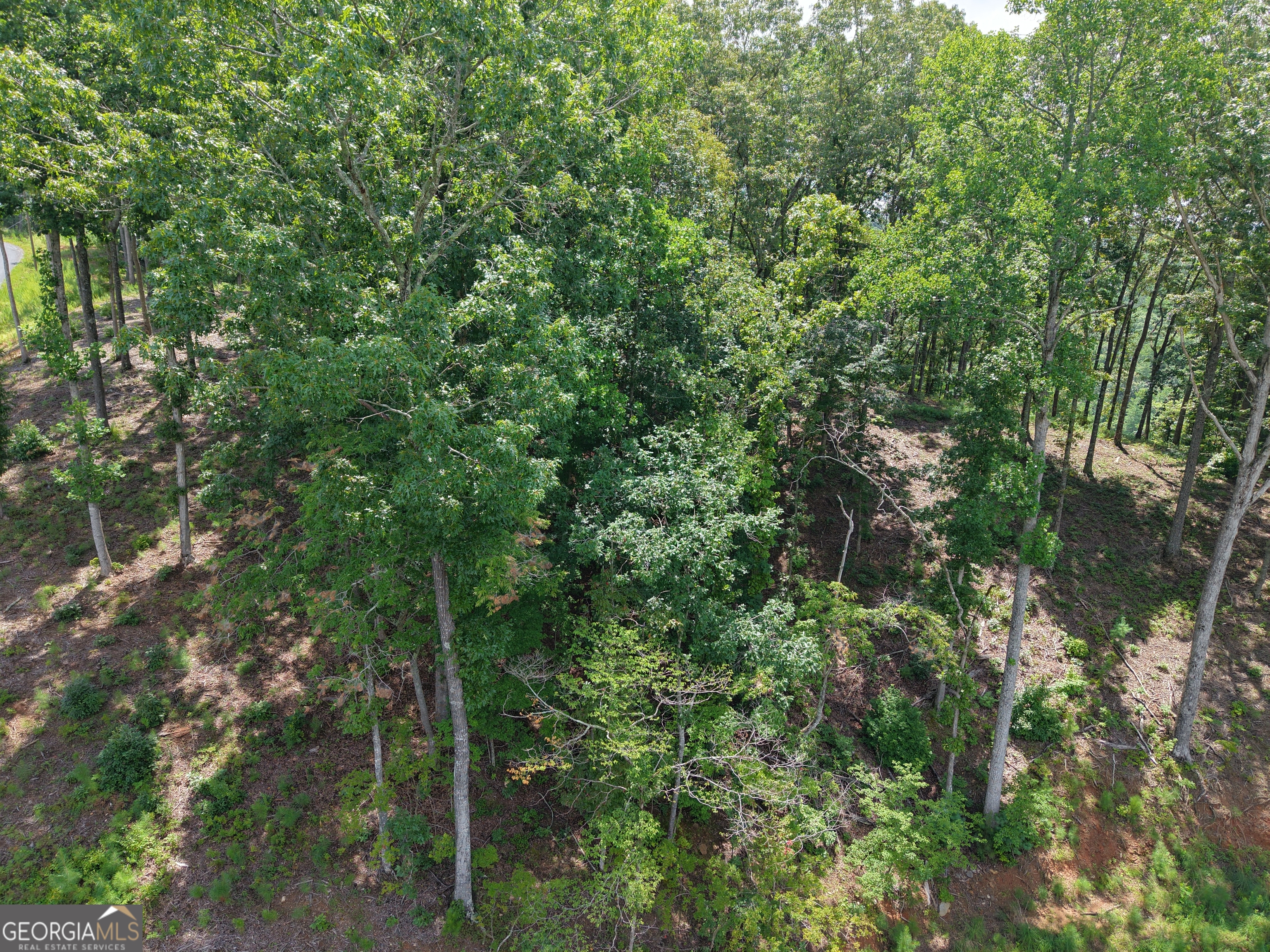 297 Pebble Trace Property Photo 10