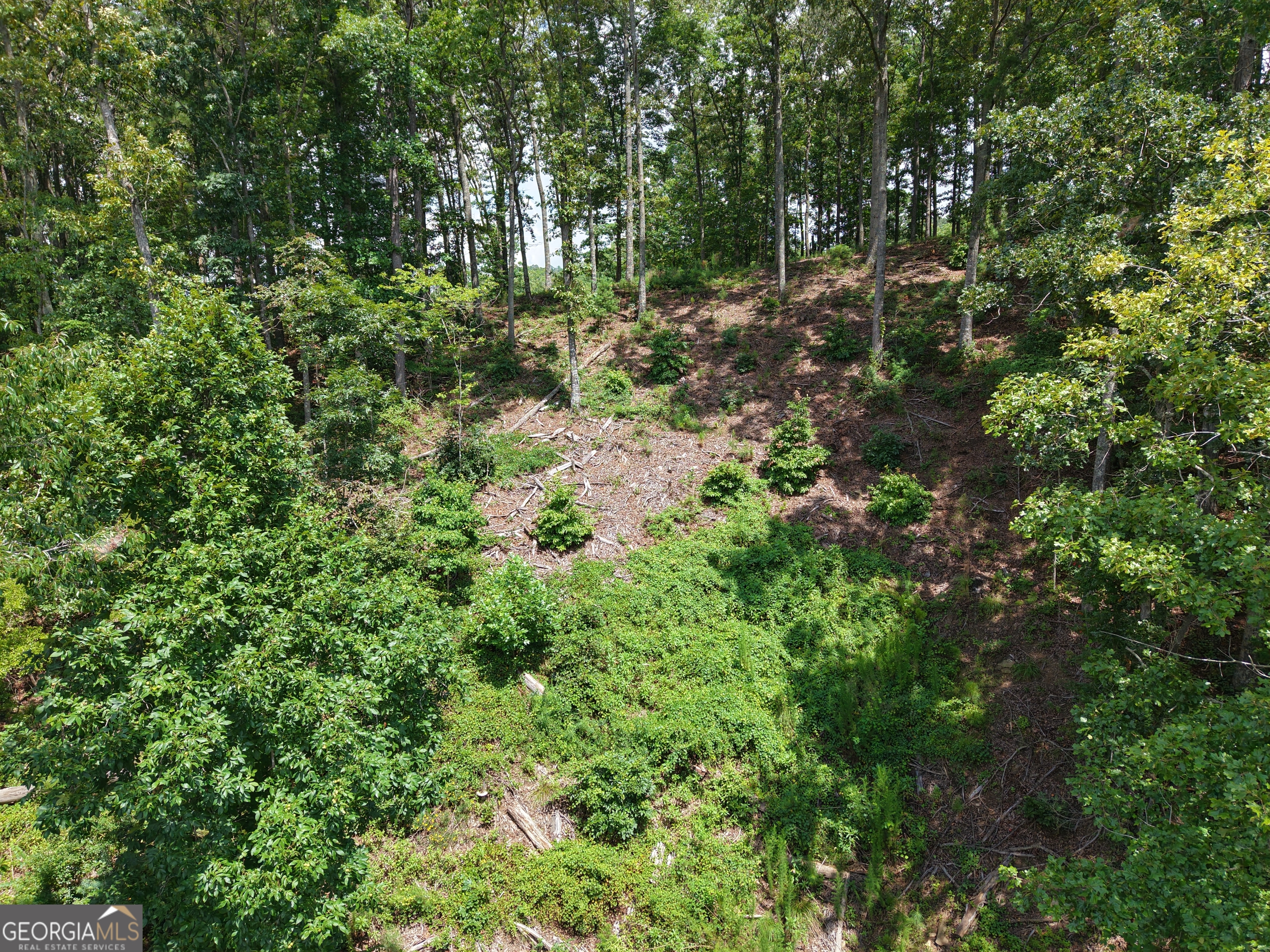 297 Pebble Trace Property Photo 12