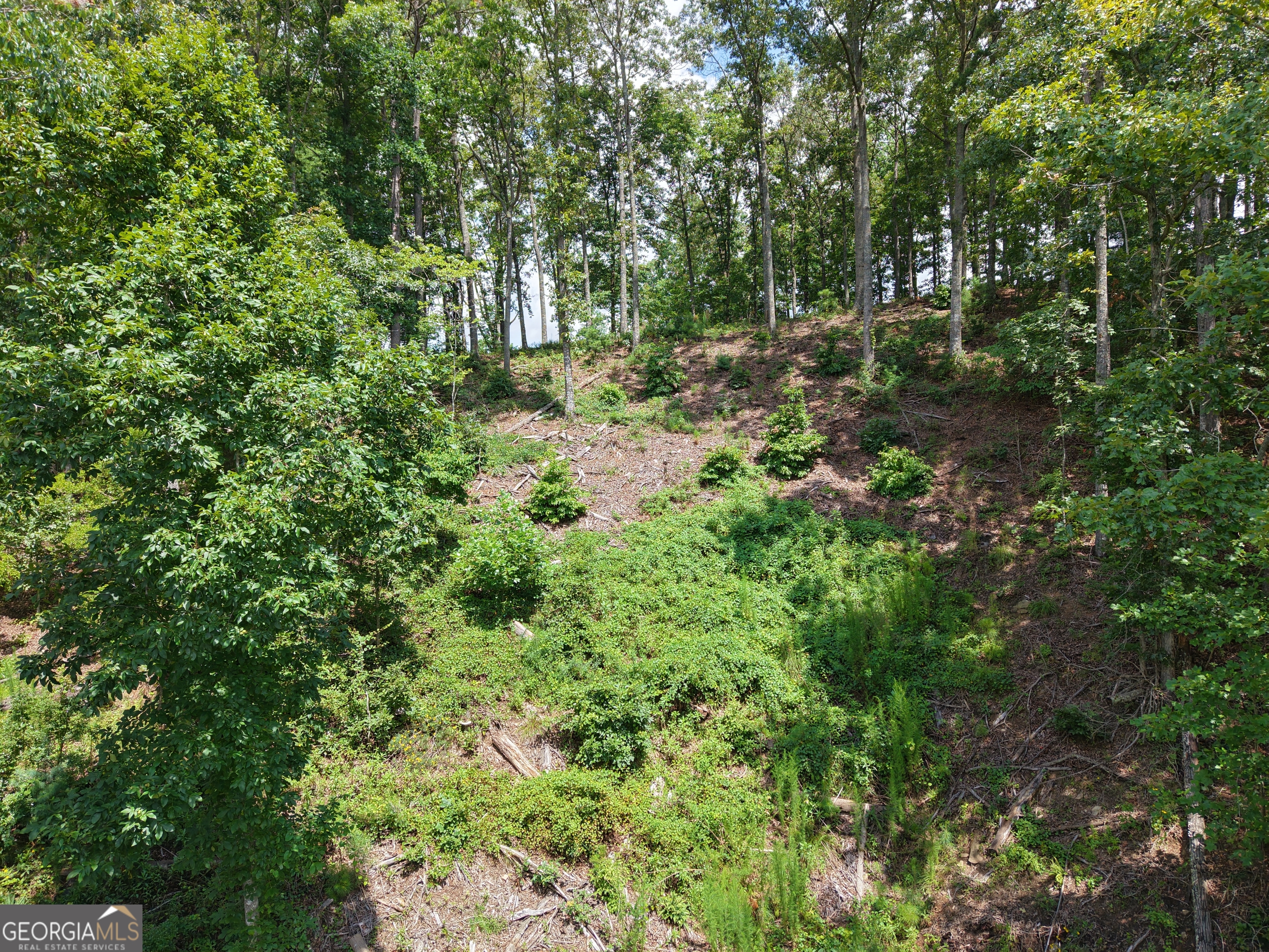 297 Pebble Trace Property Photo 13