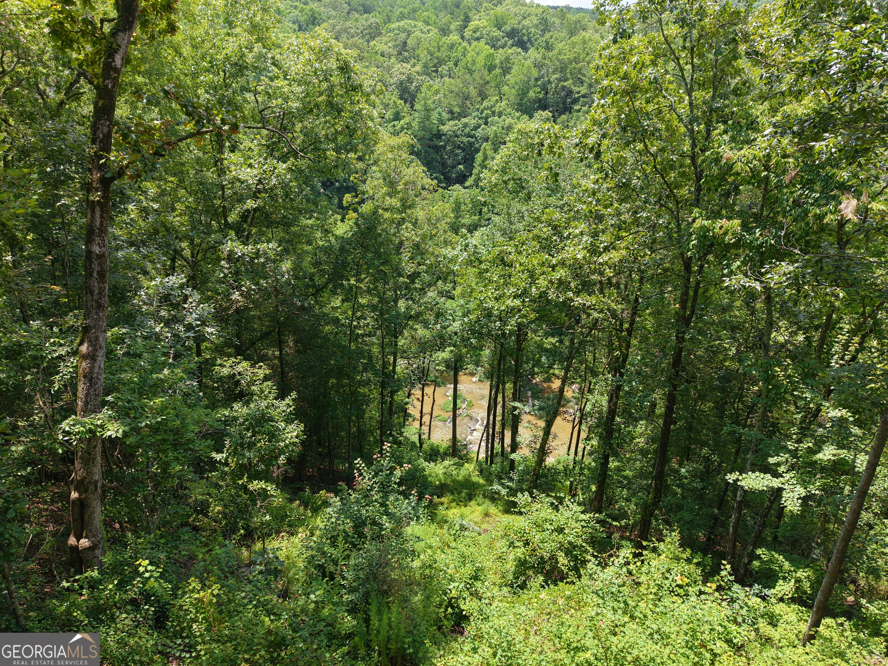 297 Pebble Trace Property Photo 14