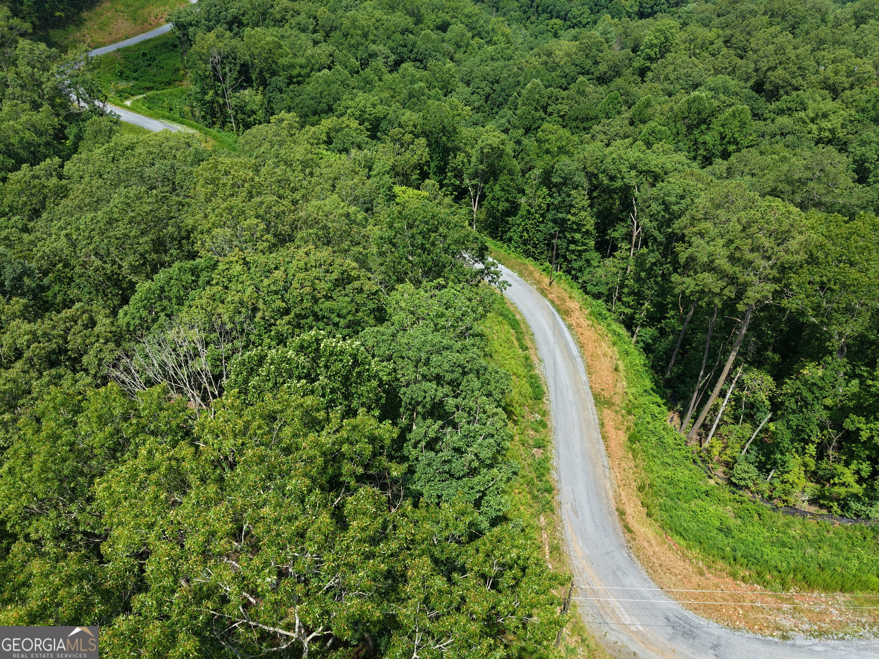 297 Pebble Trace Property Photo 15