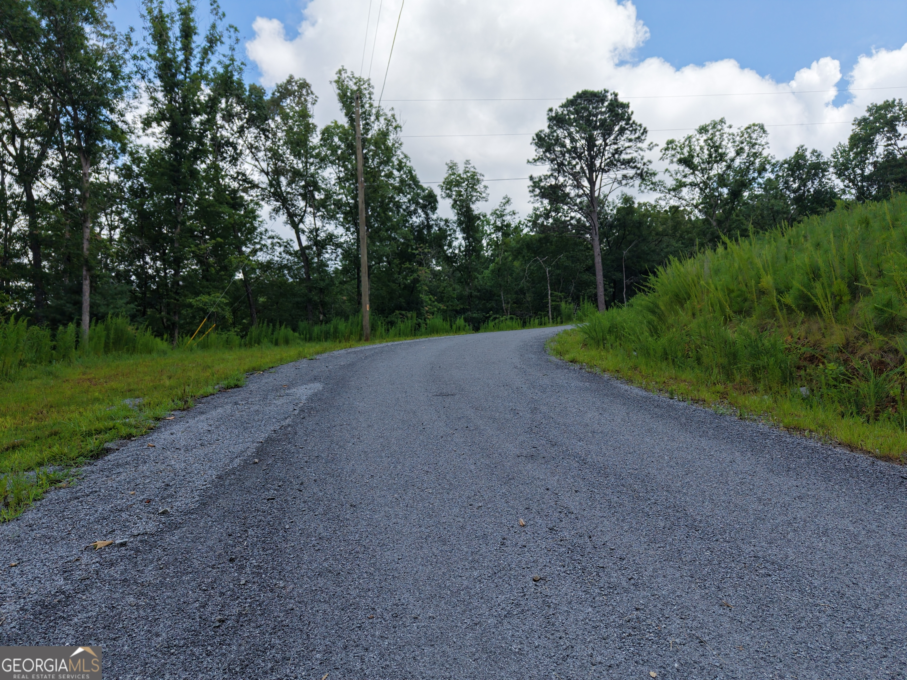 297 Pebble Trace Property Photo 19
