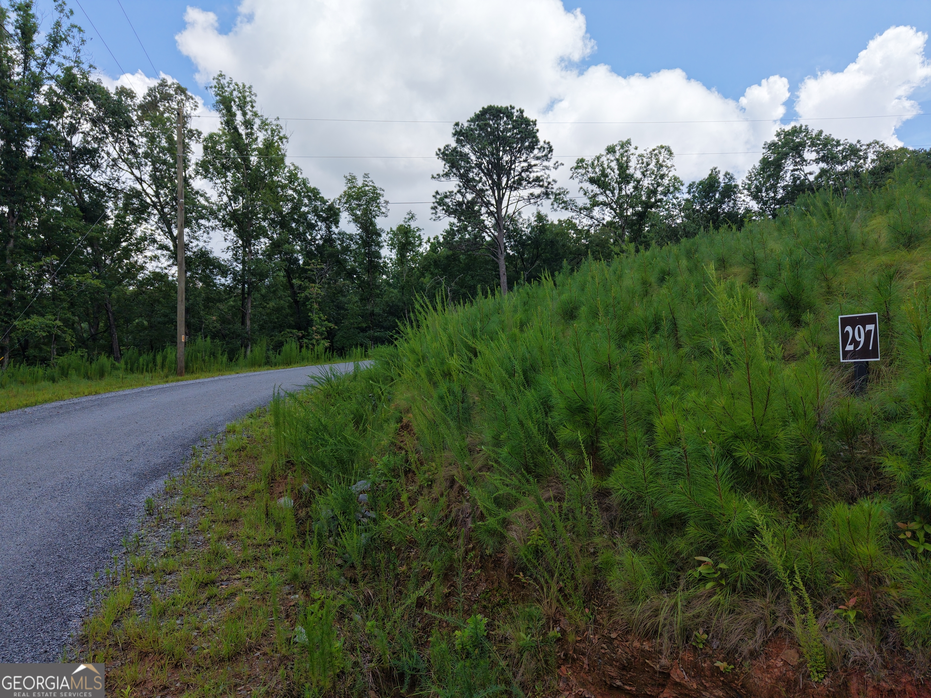 297 Pebble Trace Property Photo 20