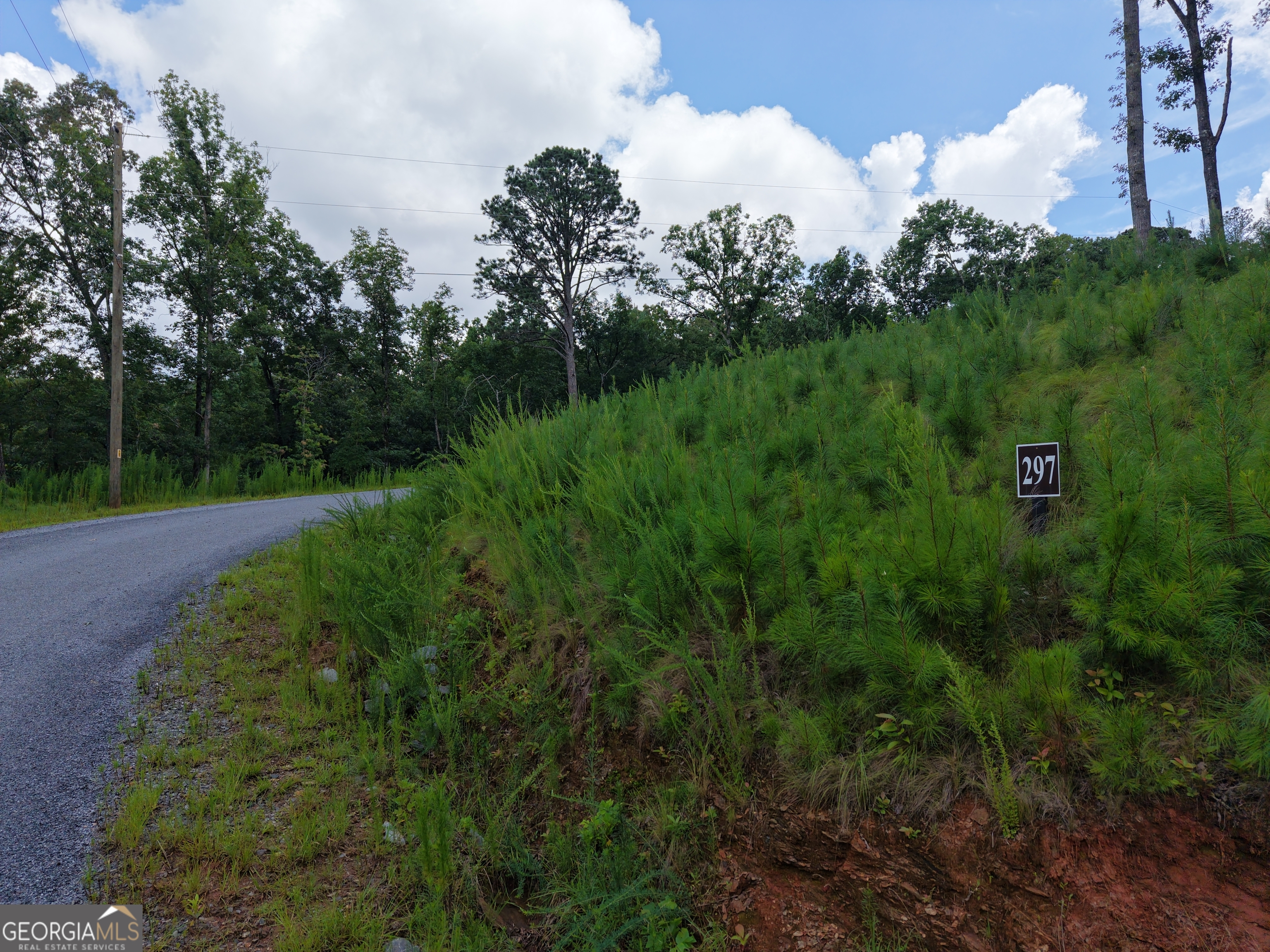 297 Pebble Trace Property Photo 21