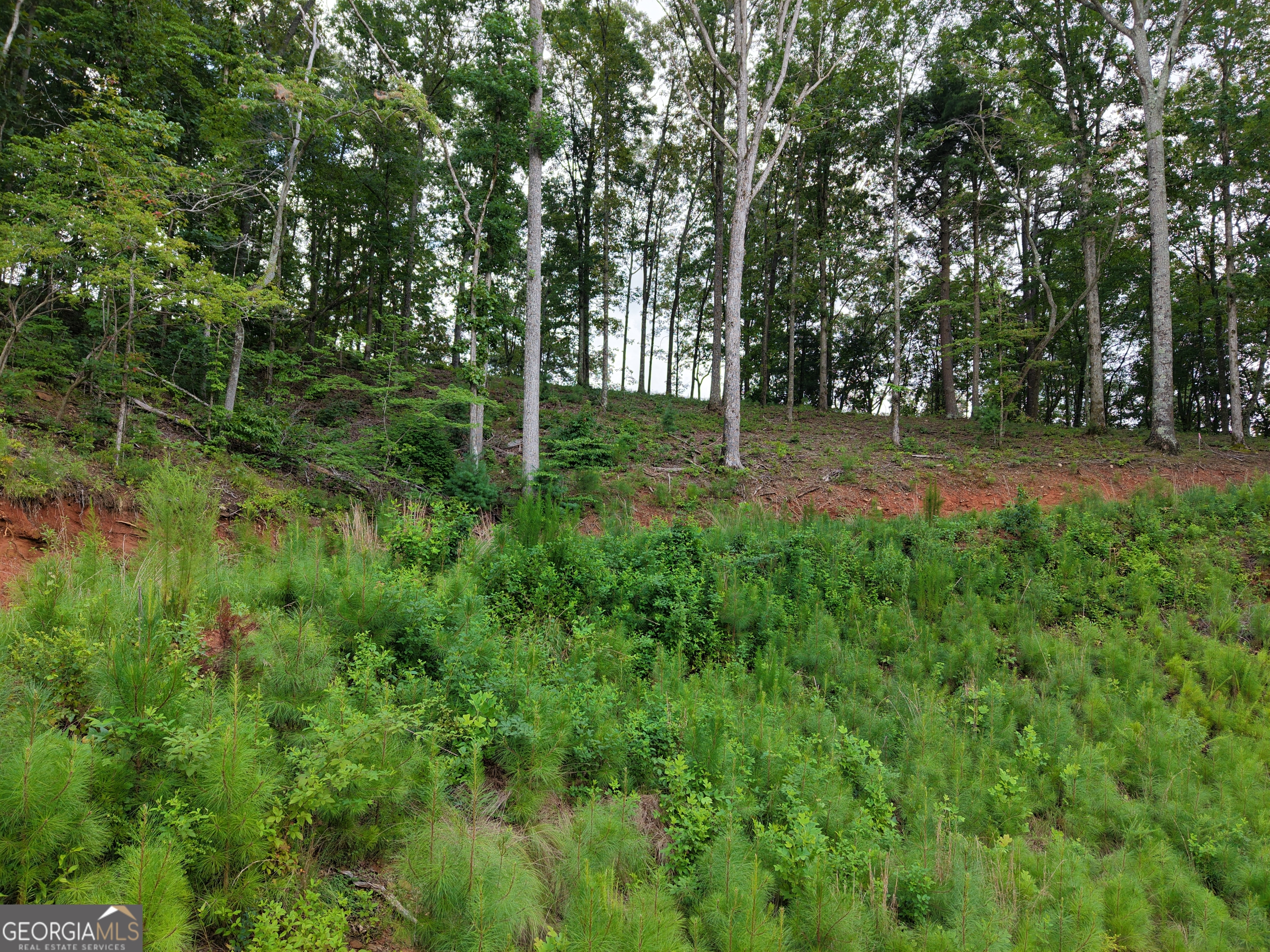 297 Pebble Trace Property Photo 22