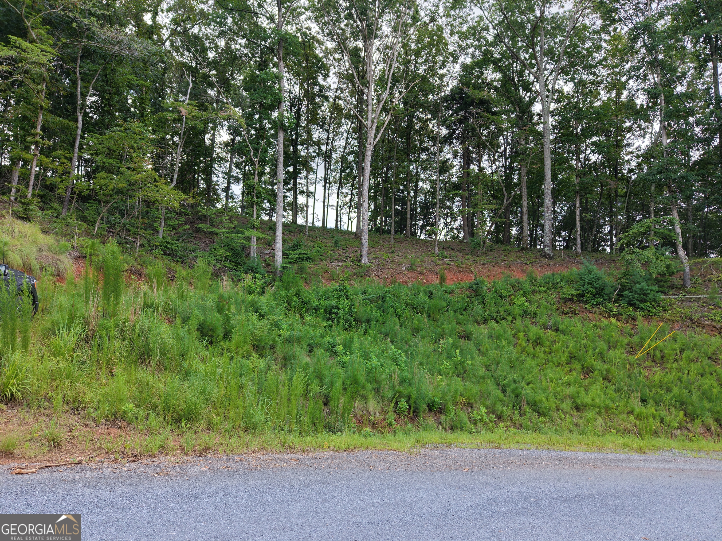297 Pebble Trace Property Photo 23